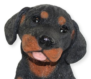 Castagna Dekofigur Deko Figur Hund Rottweiler Welpe Hundefigur sitzend Kollektion Castagna aus Resin Höhe 23 cm