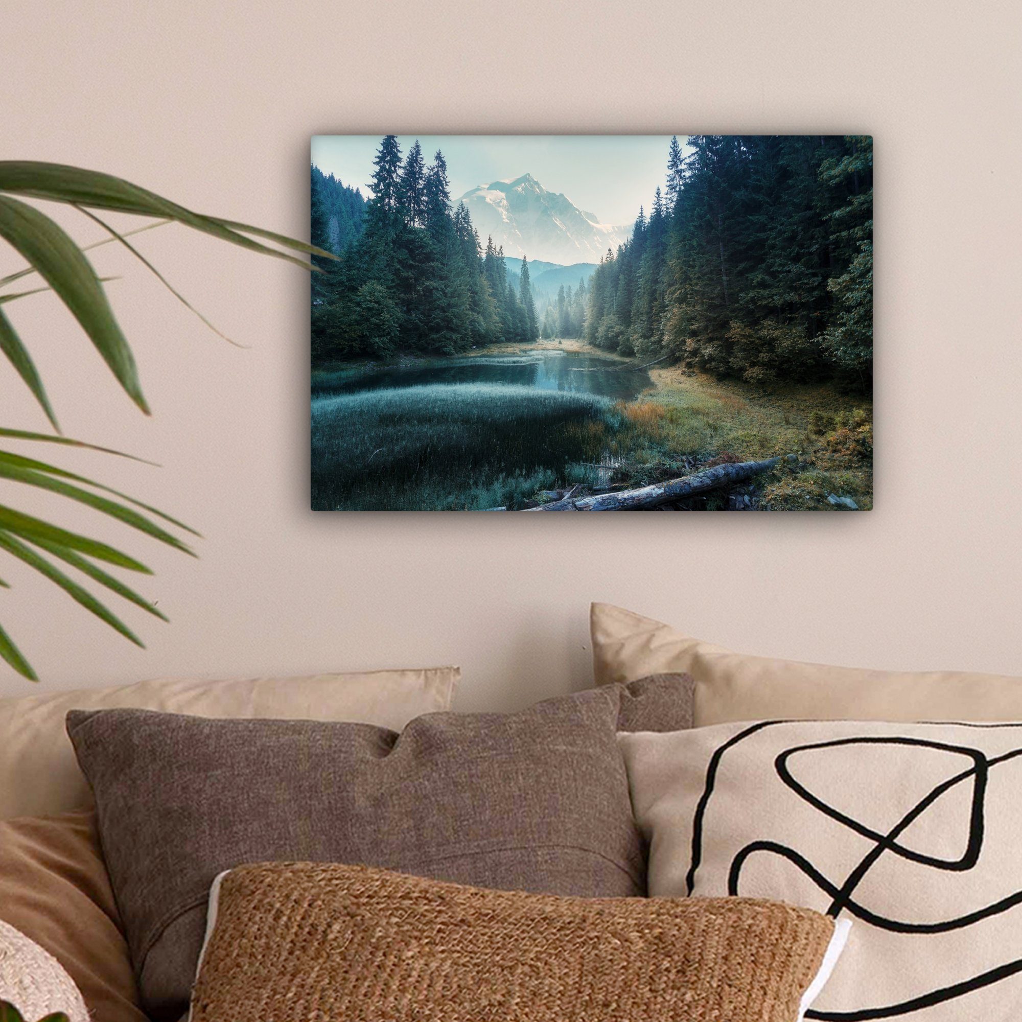 OneMillionCanvasses® Leinwandbild Wald - Gras - günstig online kaufen