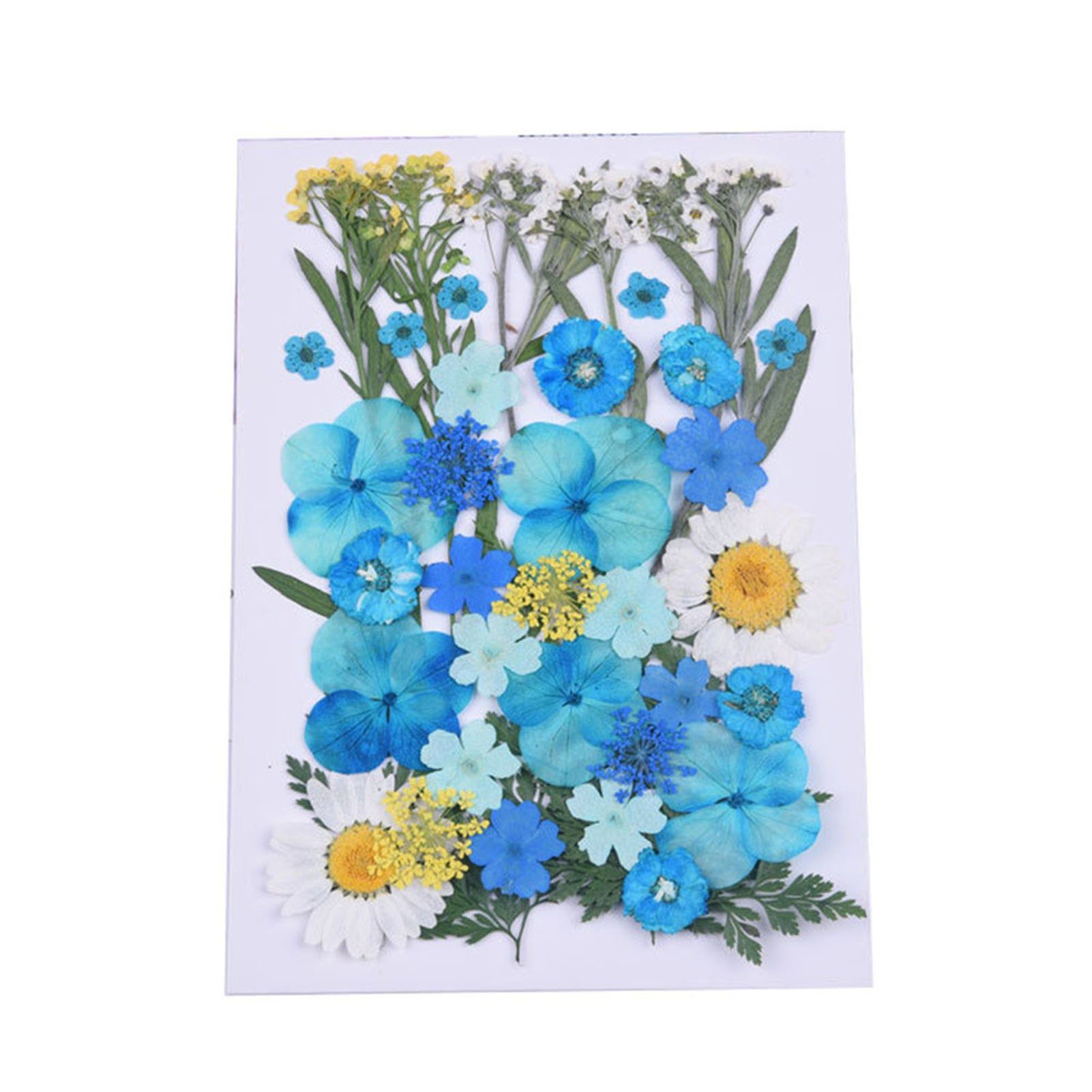 blue Selbermachen, and Zum Getrocknetes, Blumen, Trockenblumen-Set Gepresste Trockenblume Blusmart white