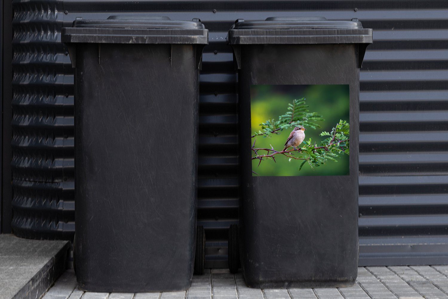 Wald Mülltonne, St), MuchoWow Baum - Wandsticker Sticker, Mülleimer-aufkleber, Vogel Container, Abfalbehälter (1 -