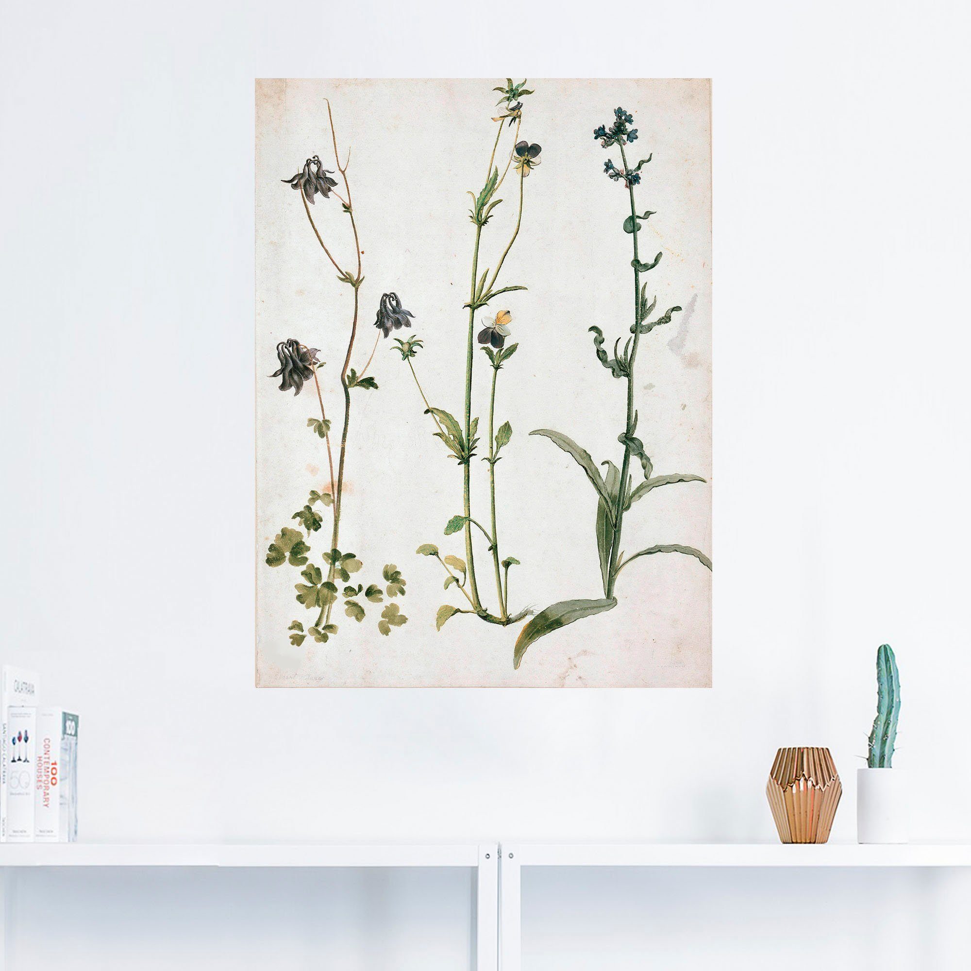 versch. oder Alubild, Größen Blumenbilder Poster (1 Stiefmütterchen als Ochsenzunge, in Leinwandbild, und Akelei, Artland Wandaufkleber St), Wandbild