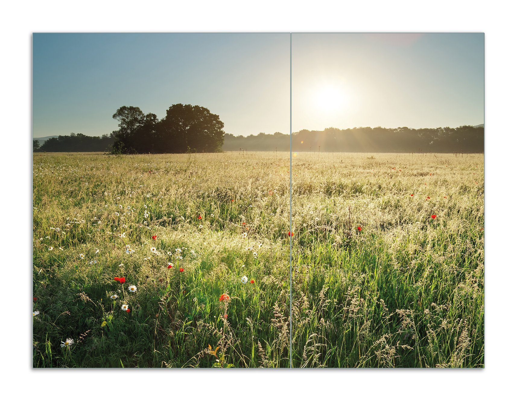 Wallario Herd-Abdeckplatte Wiese im Licht der Abendsonne, ESG-Sicherheitsglas, (Glasplatte, 2 tlg., inkl. 5mm Noppen), verschiedene Größen