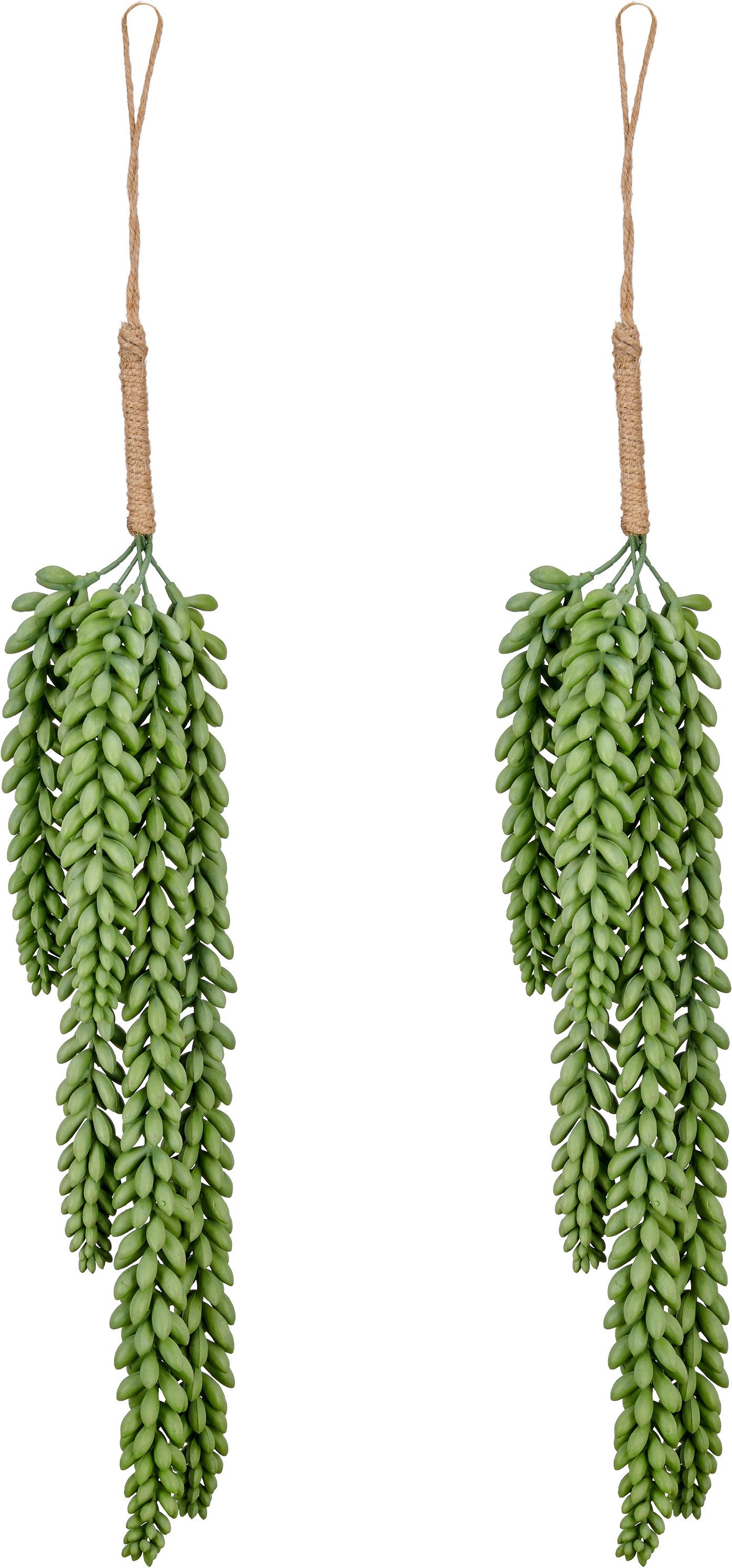 Kunstranke Sedumhänger, Creativ green, Höhe 48 cm, in natürlicher Optik