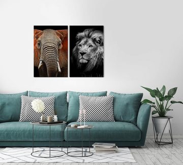 Sinus Art Leinwandbild 2 Bilder je 60x90cm Elefant Löwe Afrika Löwenkopf Wild Raubkatze Stoßzähne