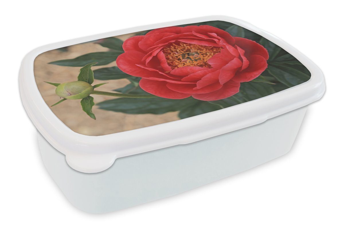 Lunchbox Brotbox rote Brotdose, für weiß für und Knospe, Mädchen und MuchoWow Kinder Kunststoff, Eine Pfingstrose Jungs (2-tlg), und eine Erwachsene,