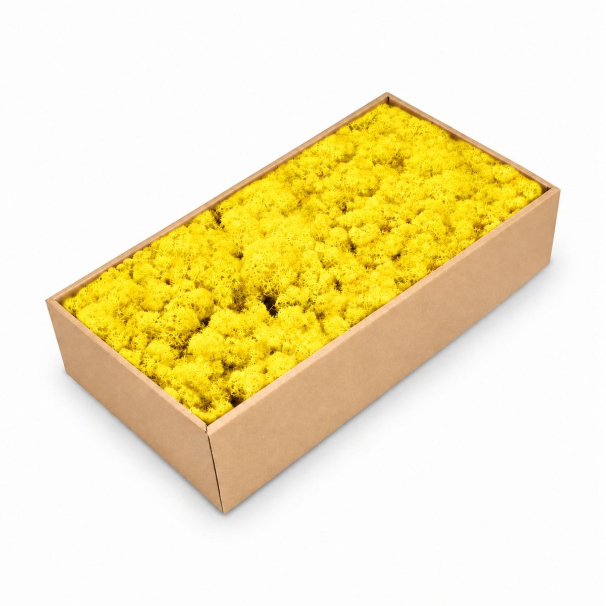 NaDeco Bastelnaturmaterial Islandmoos, Zitronengelb, 500 g Cladonia stellaris