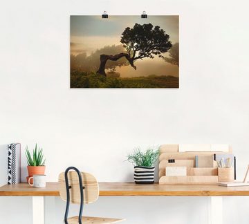 Artland Wandbild Lorbeerbaum, Bäume (1 St), als Alubild, Outdoorbild, Leinwandbild, Poster, Wandaufkleber