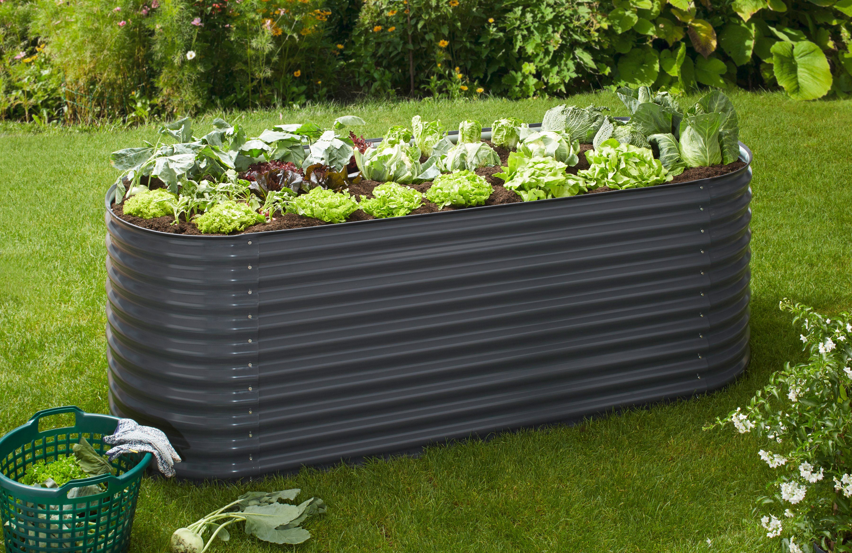 KONIFERA Hochbeet, bodenloses Gartenbeet aus verzinktem Stahl, witterungsbe günstig online kaufen