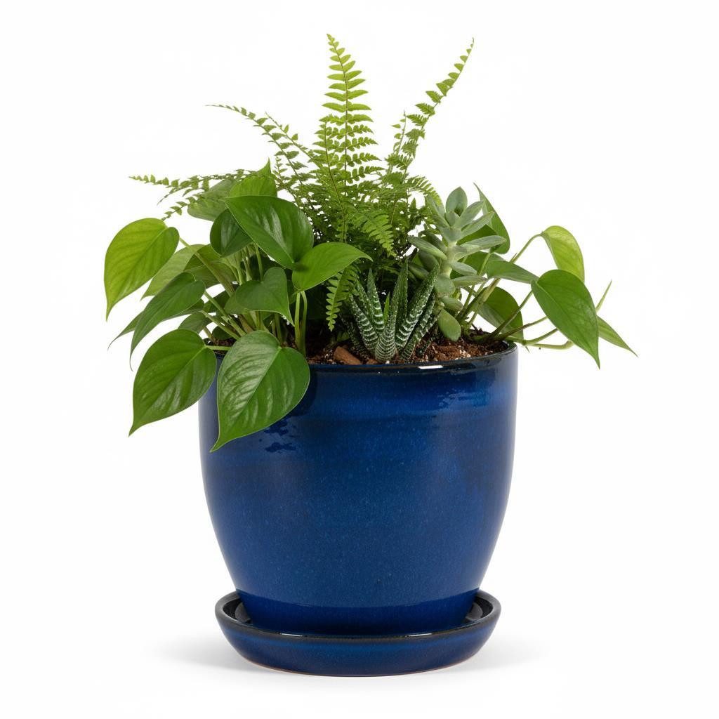 Teramico Pflanzkübel Blumentopf aus Keramik Modell "EggPot" 27cm Royal Blau günstig online kaufen