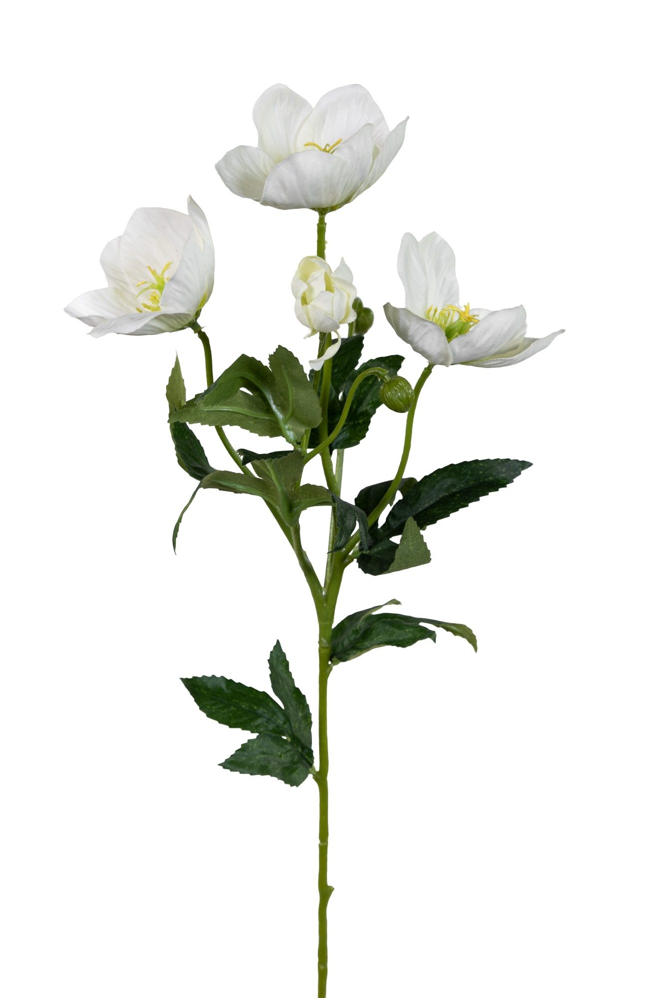 Kunstblume Christrose 62cm PM Dekoblumen künstliche Christrose Blumen Helleborus, Seidenblumen Roß, Höhe 62 cm, Farbe: Weiß, künstliche Blume, Deko-Blume