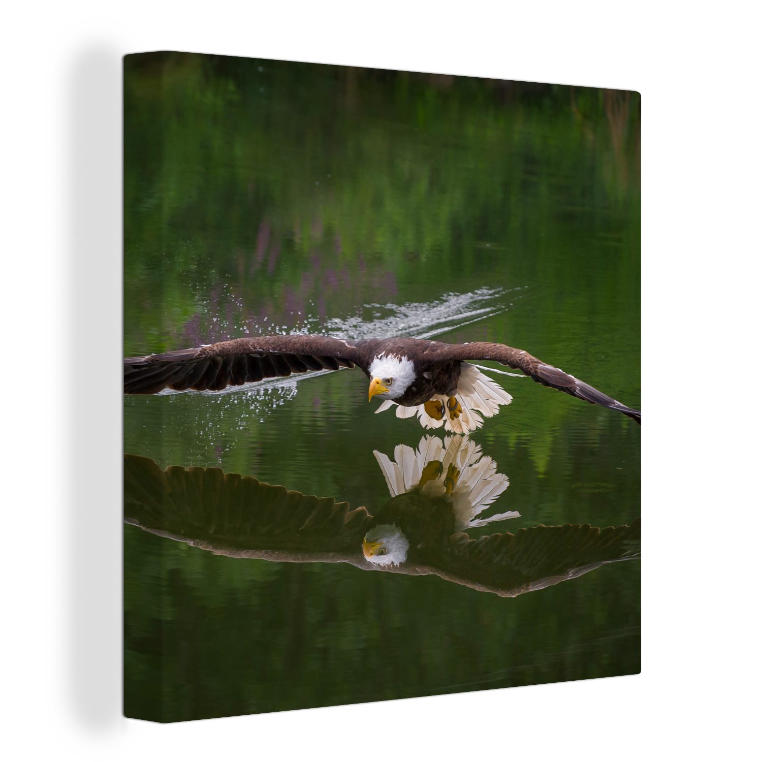 OneMillionCanvasses® Leinwandbild Ein Weißkopfseeadler fliegt sehr niedrig über dem Wasser, (1 St), Leinwand Bilder für Wohnzimmer Schlafzimmer