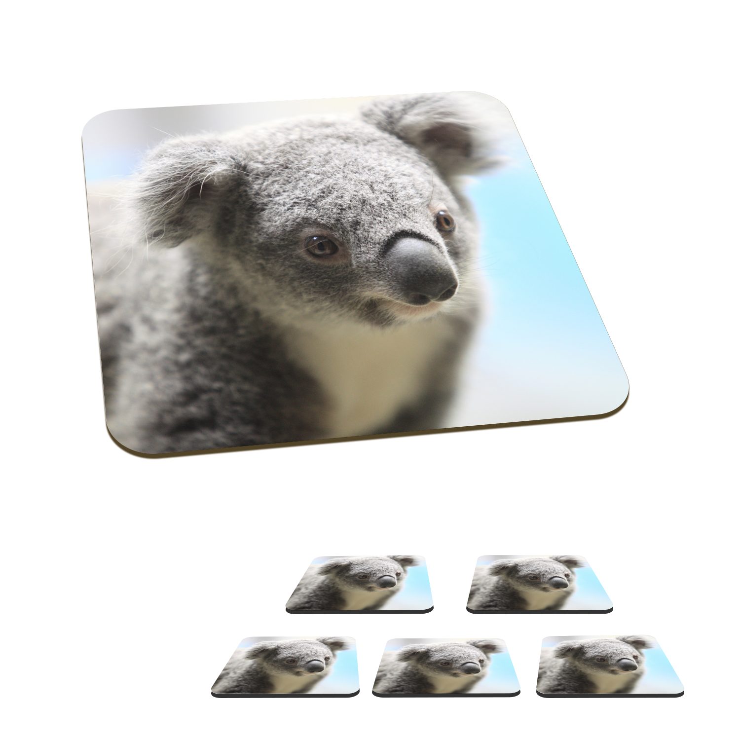 MuchoWow Glasuntersetzer Koala - Porträt - Tier - Kinder - Jungen - Mädchen, Zubehör für Gläser, 6-tlg., Glasuntersetzer, Tischuntersetzer, Korkuntersetzer, Untersetzer, Tasse