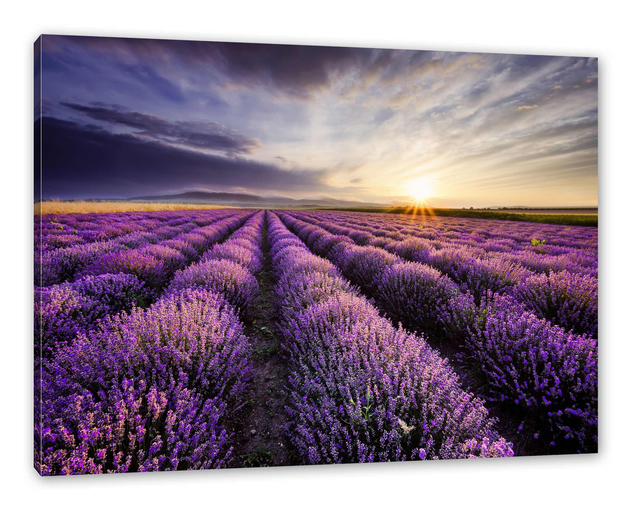Pixxprint Leinwandbild Traumhafte Lavendel Provence, Traumhafte Lavendel Provence (1 St), Leinwandbild fertig bespannt, inkl. Zackenaufhänger
