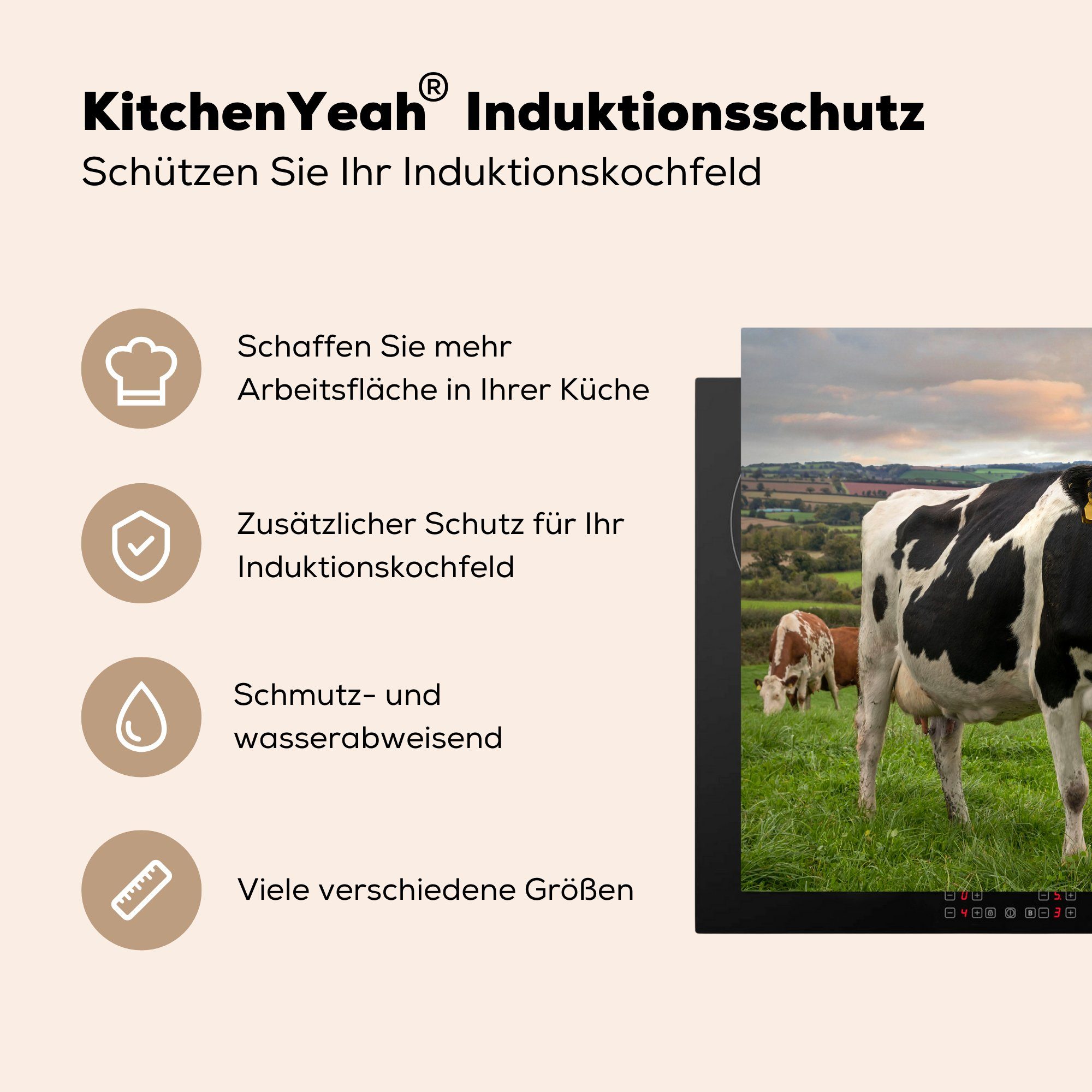 MuchoWow Herdblende-/Abdeckplatte Kühe cm, Tags - die Gras, Induktionsmatte Vinyl, küche, für 59x52 Ceranfeldabdeckung (1 - tlg)