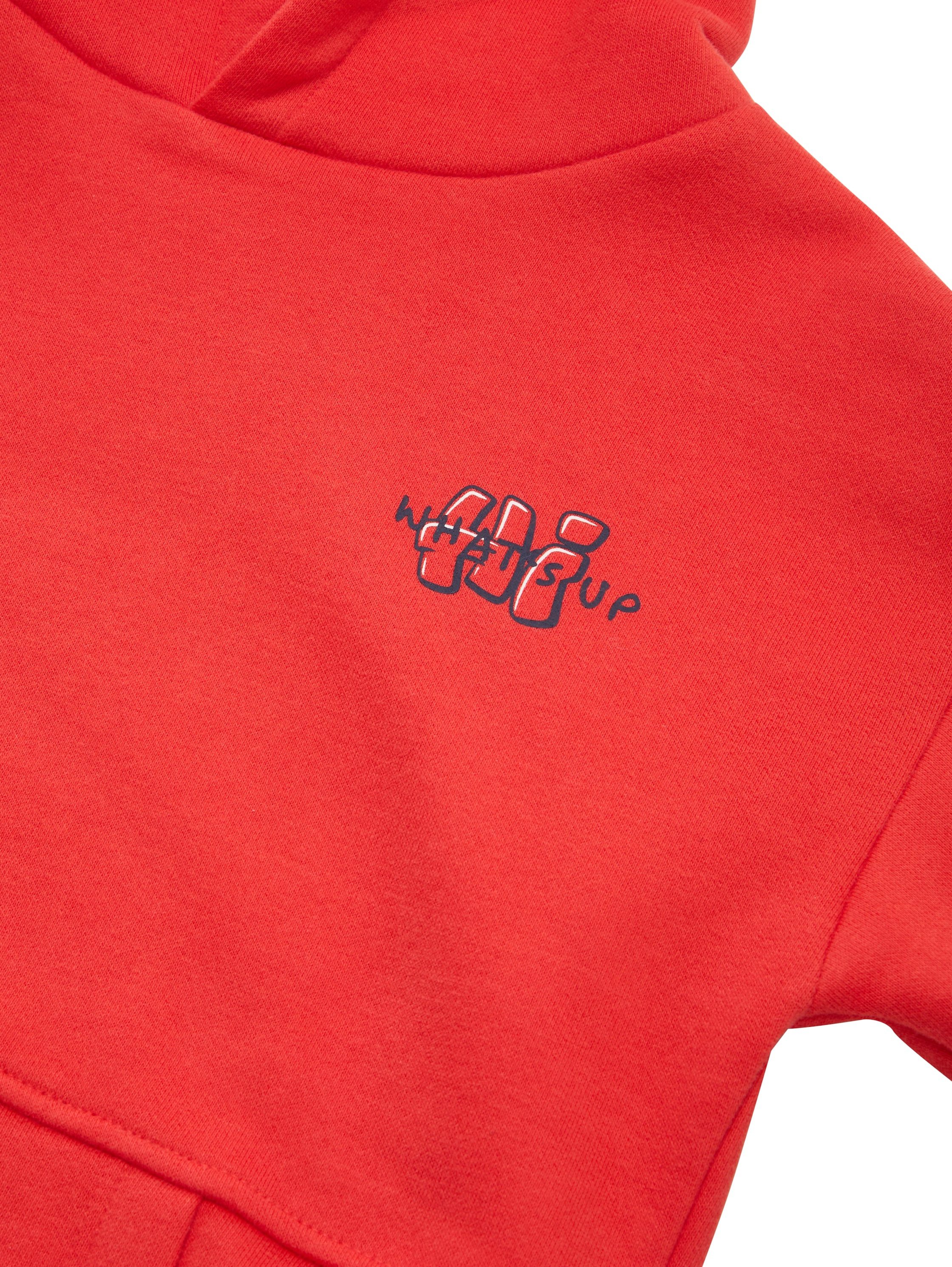 TOM TAILOR Hoodie mit Elch-Frontprint und Rückenprint, für Kids – Bild 3 von 3