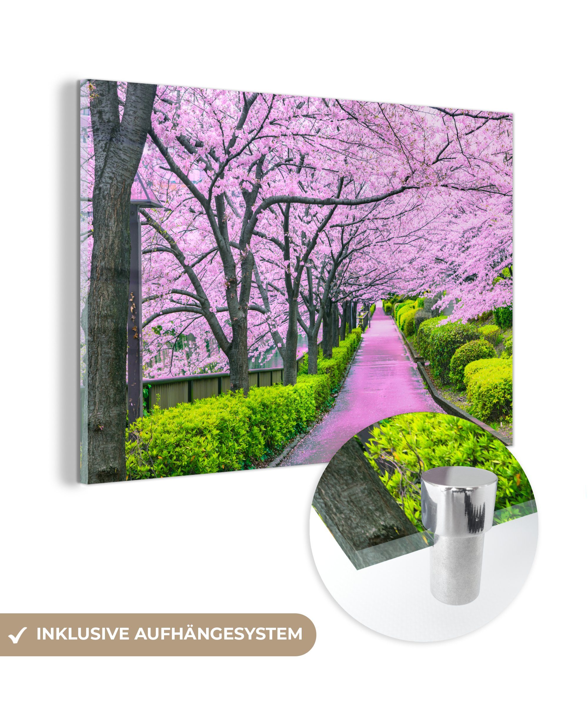 MuchoWow Acrylglasbild Sakura - Japan - Frühling, (1 St), Acrylglasbilder Wohnzimmer & Schlafzimmer