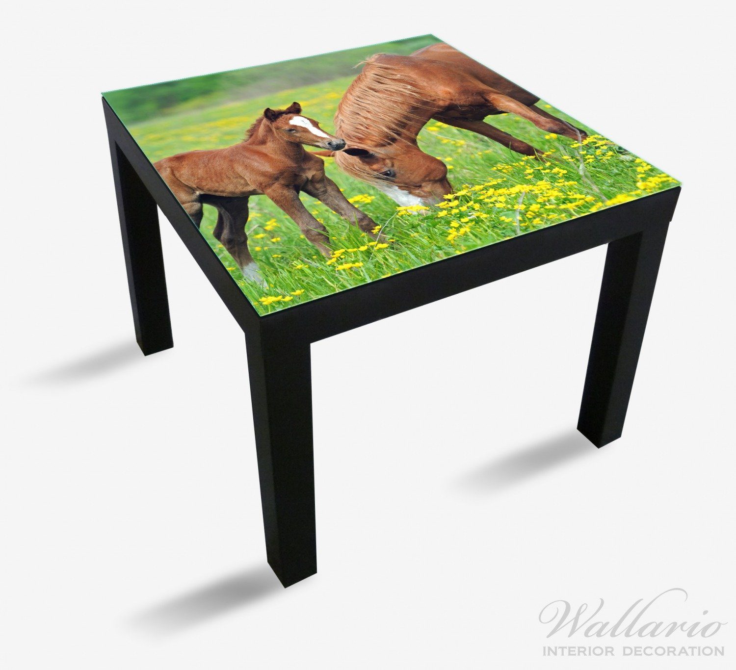 Wallario Tischplatte Pferde auf Ikea Lack Tisch (1 geeignet St), der Koppel für
