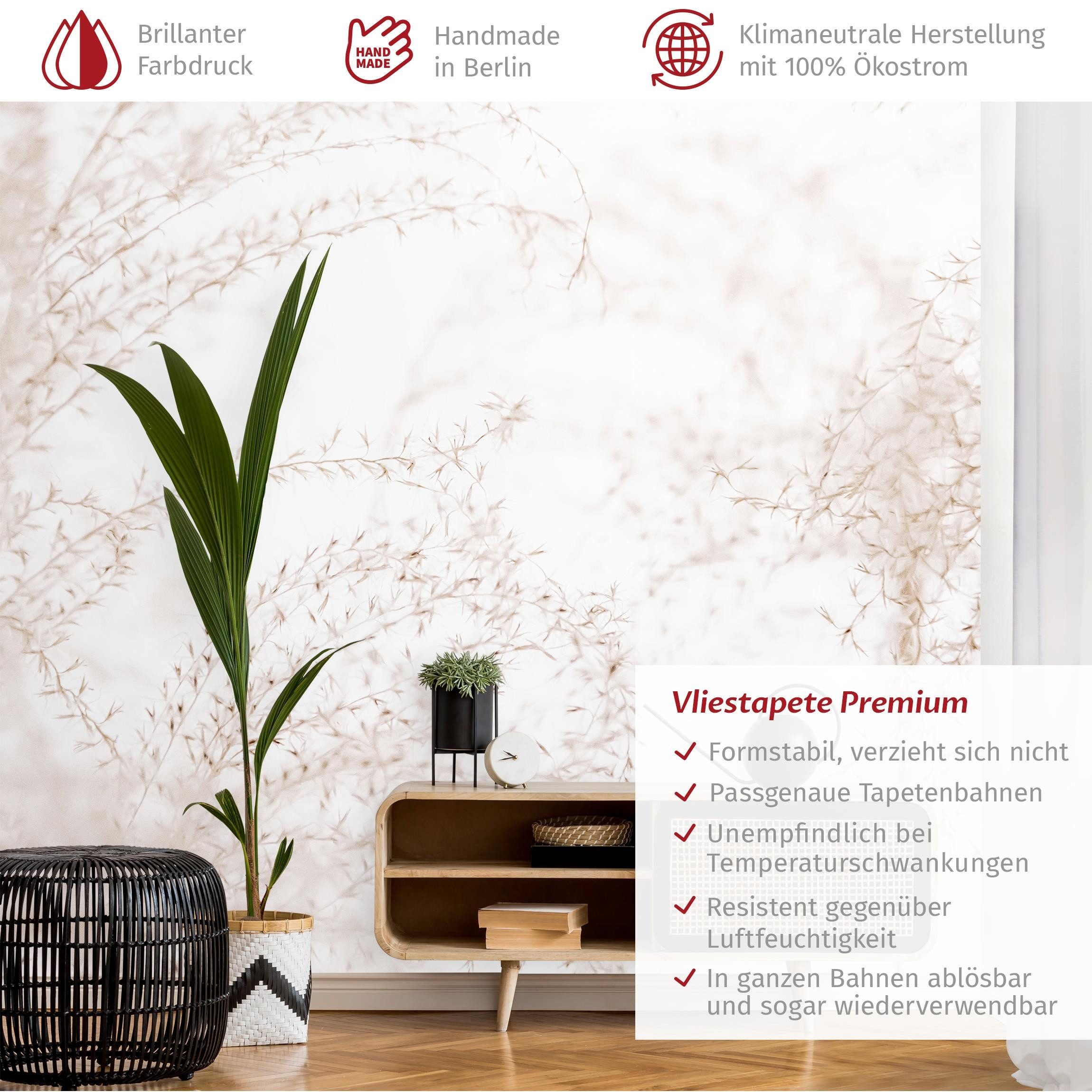 Bilderdepot24 Fototapete Blumen Sonnenstrahlen Pampasgras Blumentapete günstig online kaufen