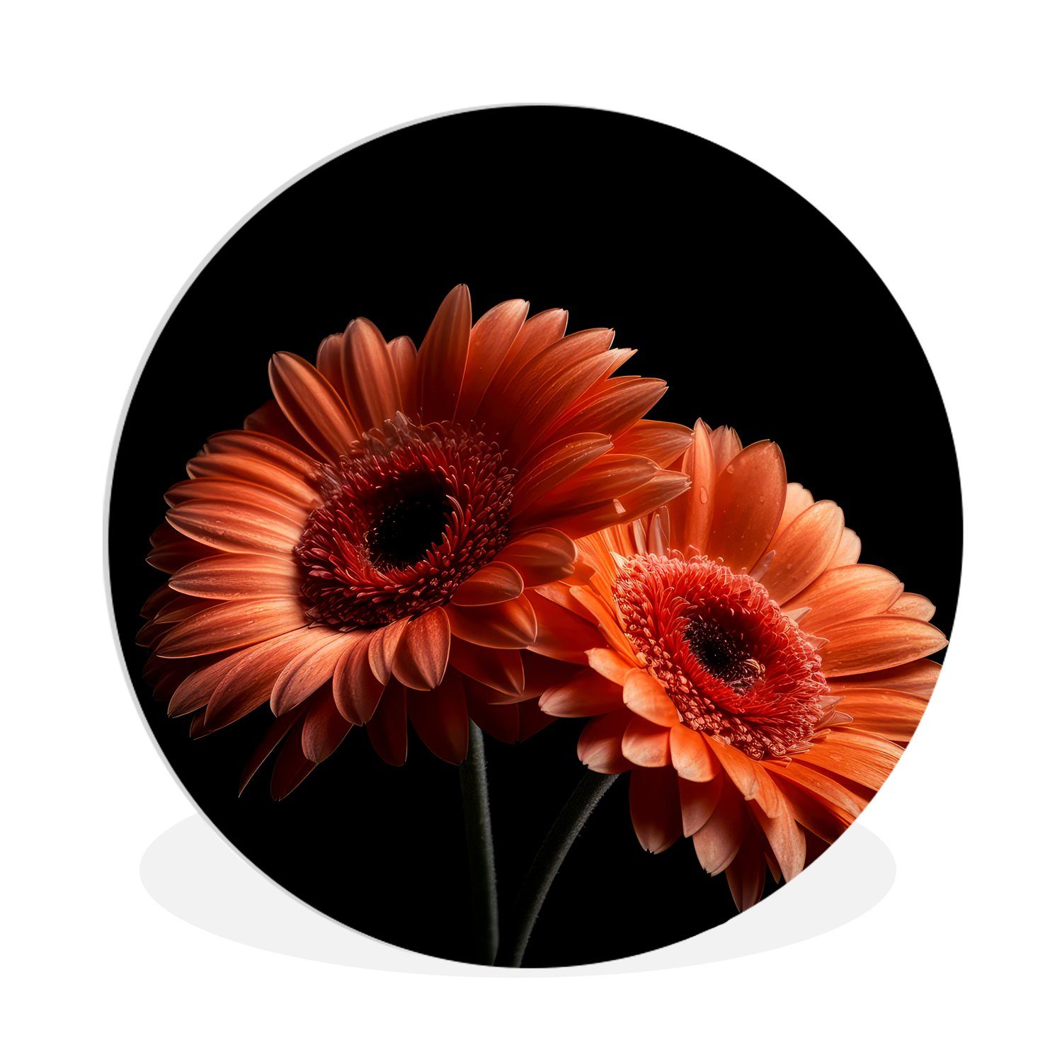 Gemälde Blumen - Botanisch - Gerbera - Orange - Schwarz
