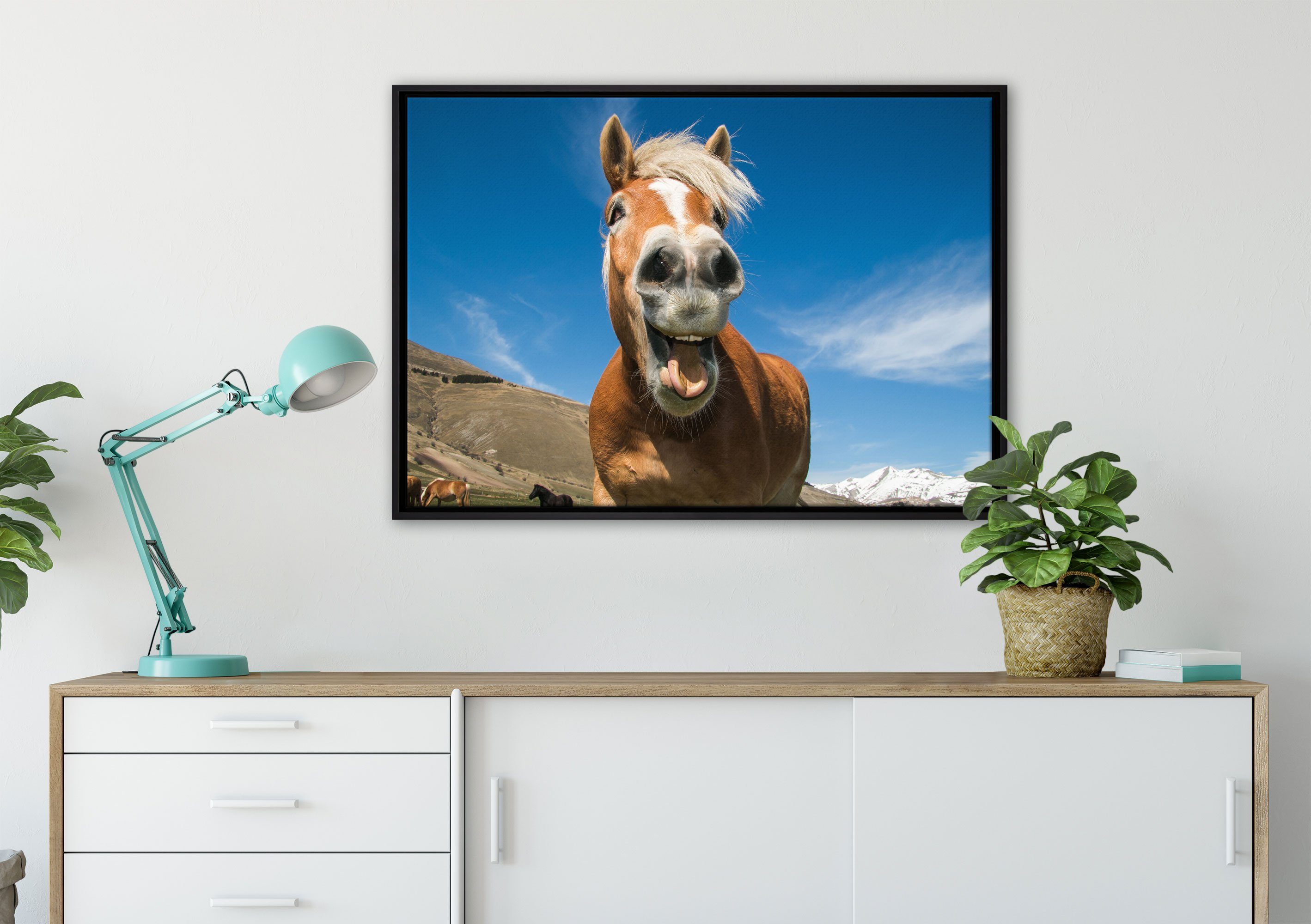 in Zackenaufhänger (1 St), Pixxprint einem Schattenfugen-Bilderrahmen Leinwandbild gefasst, bespannt, Natur, Pferd der Wanddekoration Lustiges Leinwandbild in fertig inkl.