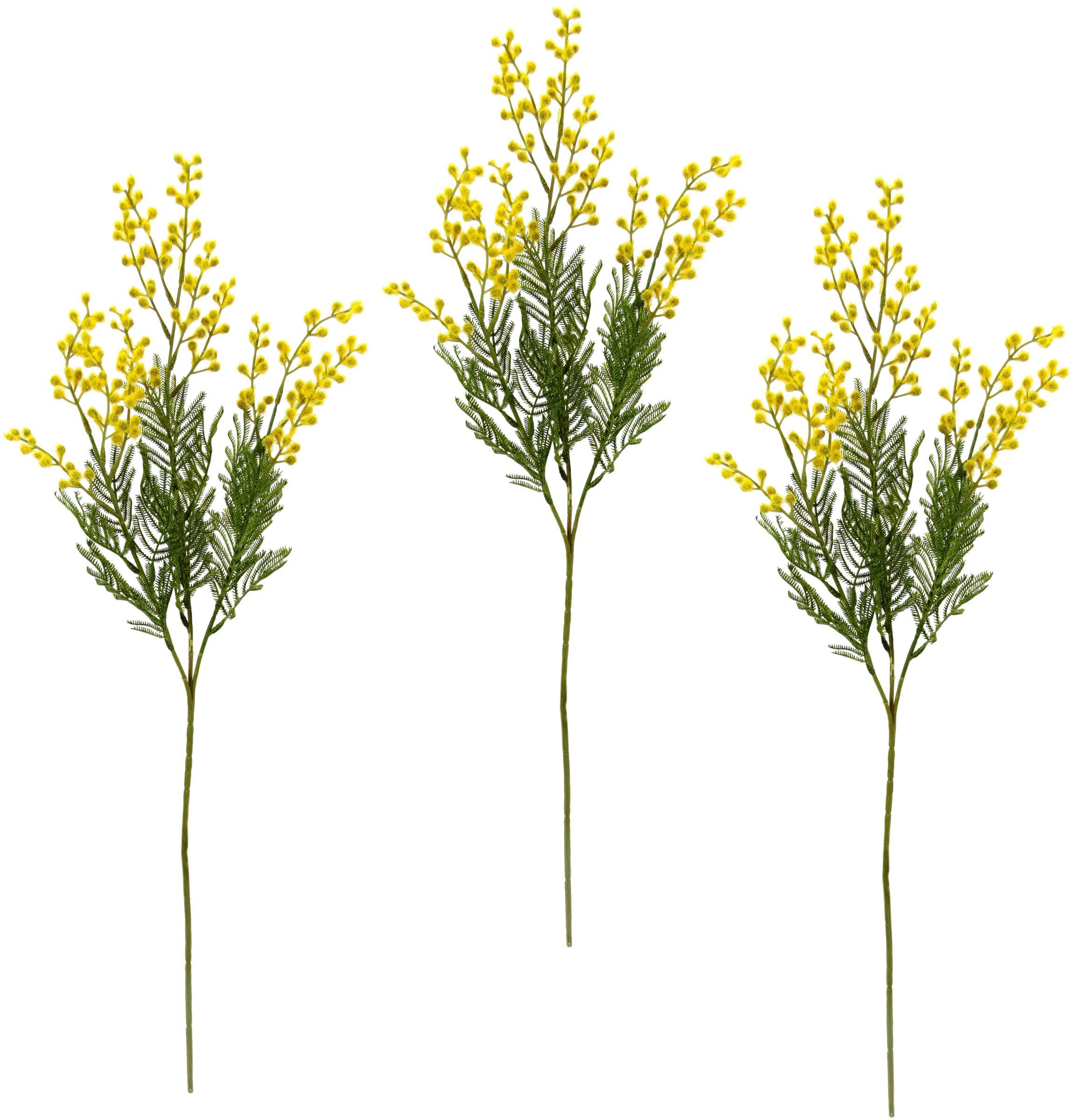 Kunstblume Mimosen Zweig, I.GE.A., Höhe 68 cm, 3er Set | Kunstblumen