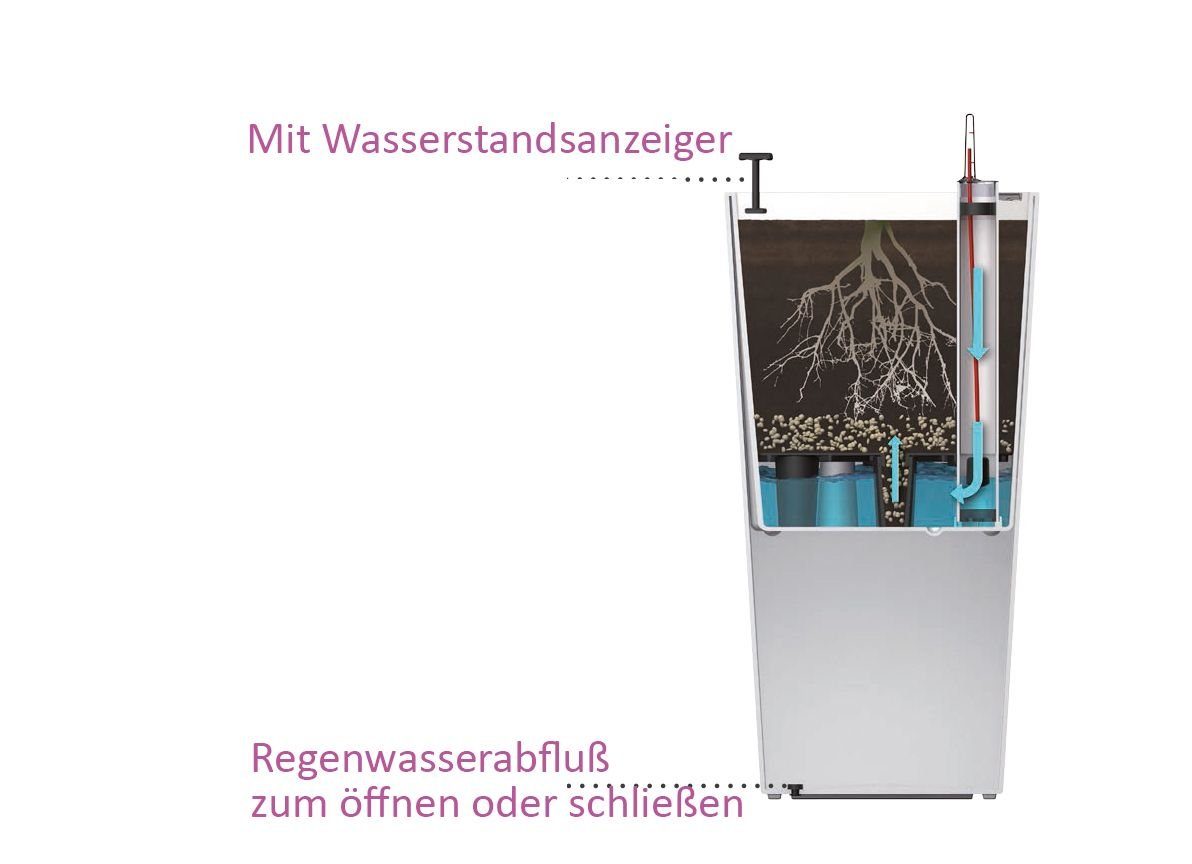 Dehner Blumentopf Elise mit Bewässerungs-System, Selbstbewässerung, Bruchsicher, Grau Kunststoff, UV-beständig