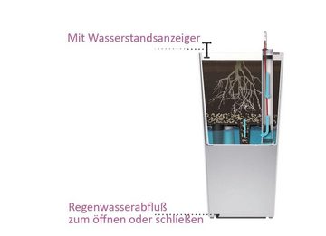 Dehner Blumentopf Elise mit Bewässerungs-System, Kunststoff, Bruchsicher, Selbstbewässerung, UV-beständig