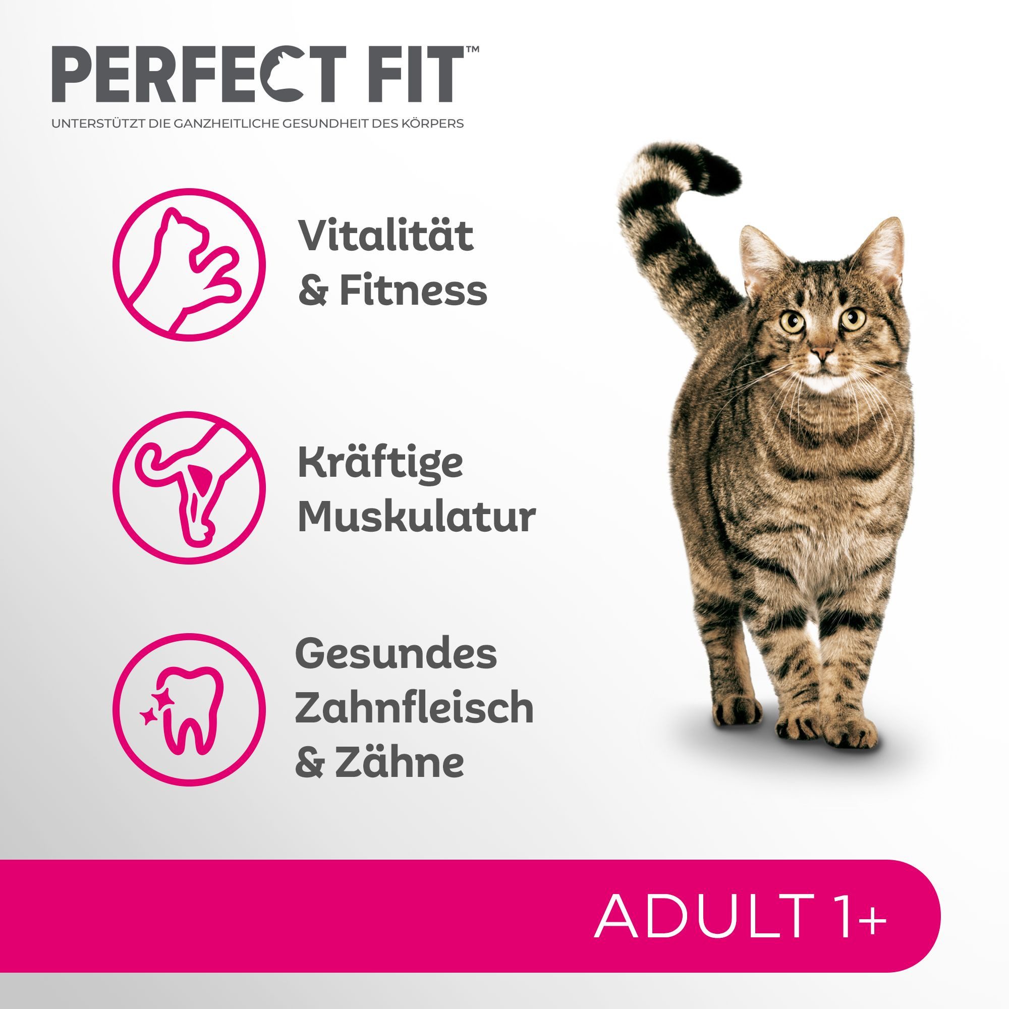 Perfect Fit PERFECT FIT™ Katze Beutel Adult 1+ mit Lachs 6 x 750g, Trockenfutter für: Katze