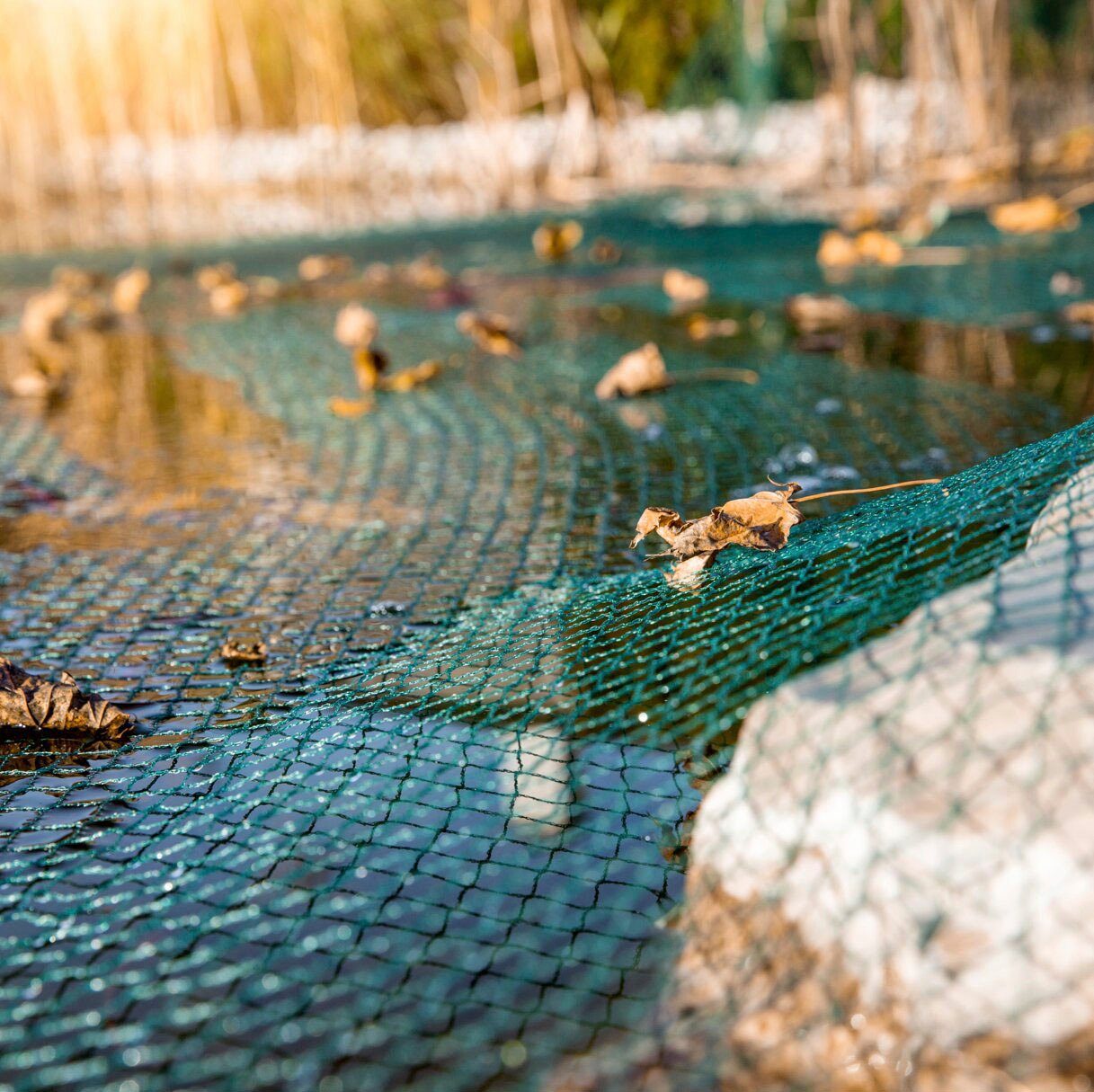 Windhager Schutznetz, BxL: 3x4 m, Laubschutznetz inkl. 10 Halterungen
