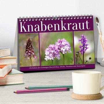 CALVENDO Wandkalender Knabenkraut (Tischkalender 2025 DIN A5 quer), CALVENDO Monatskalender