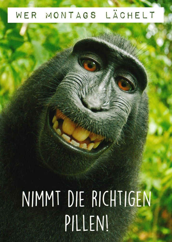 Postkarte "Wer Montags lächelt, nimmt die richtigen Pillen!"