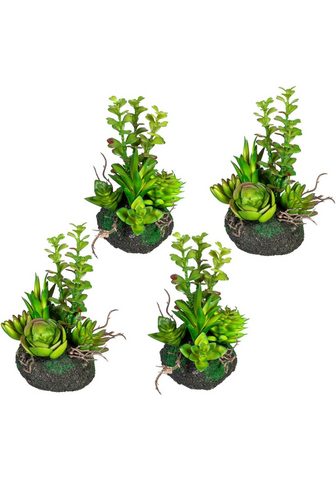 Creativ green Künstliche Zimmerpflanze »Sukkulentena...