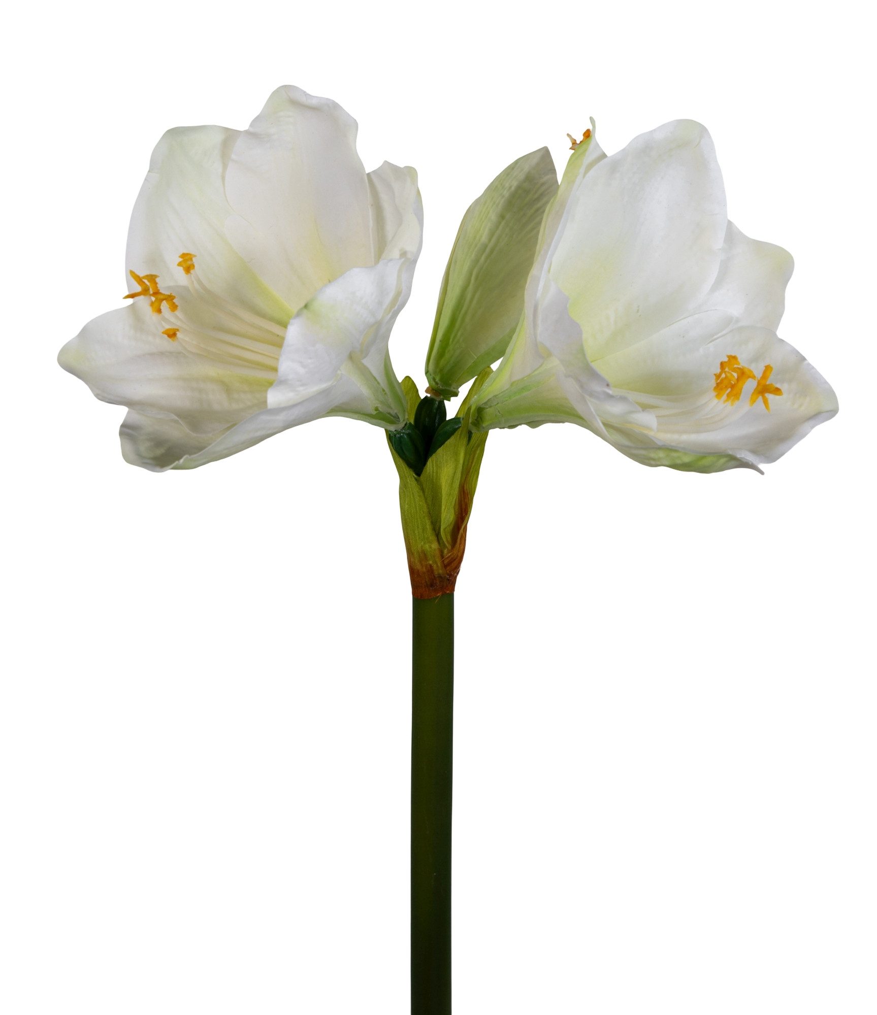 Kunstblume Amaryllis Real Touch 68cm GA Dekoblumen künstliche Blumen Ritter günstig online kaufen