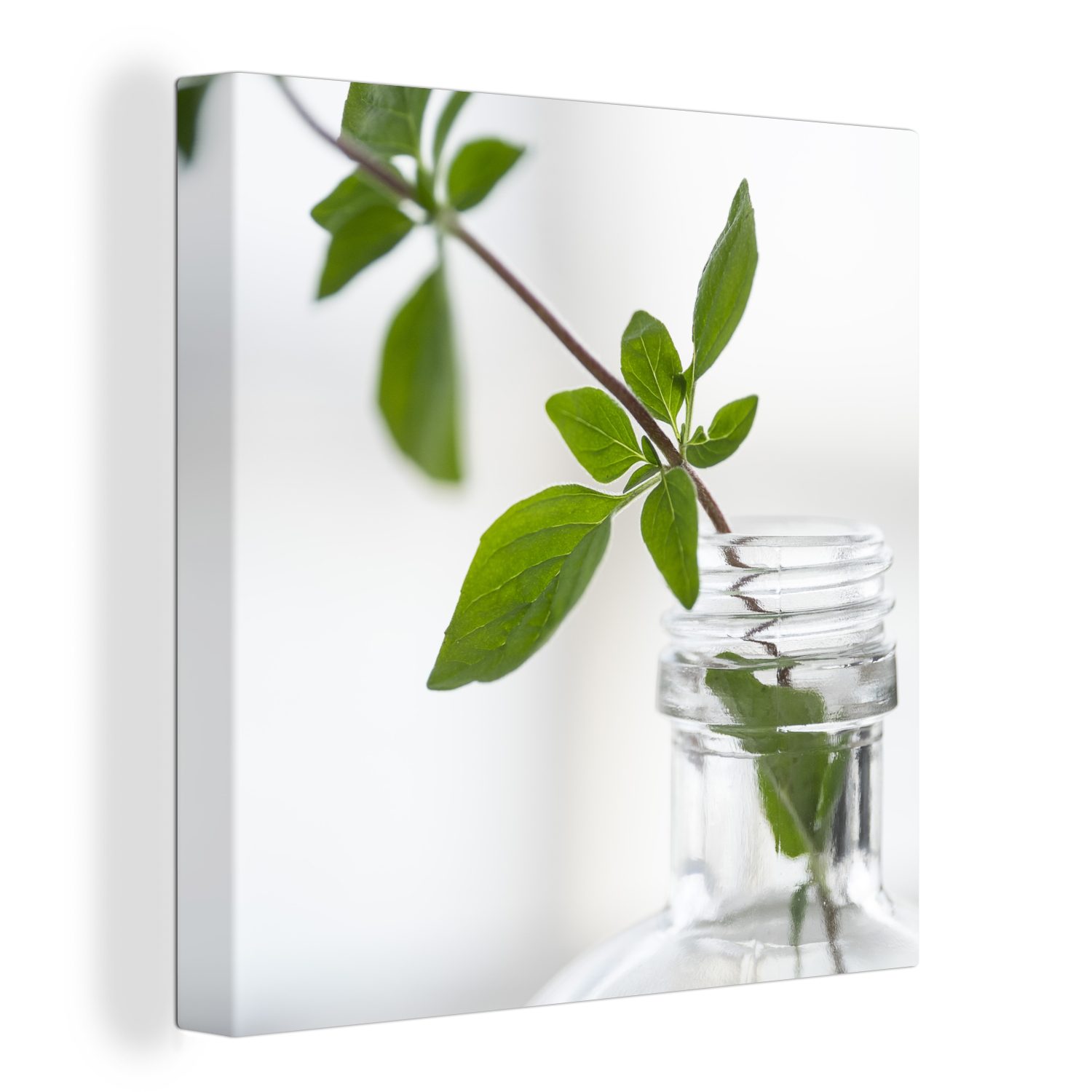OneMillionCanvasses® Leinwandbild Ein einzelner Oregano-Zweig in einem Glasgefäß in einer hellen, (1 St), Leinwand Bilder für Wohnzimmer Schlafzimmer