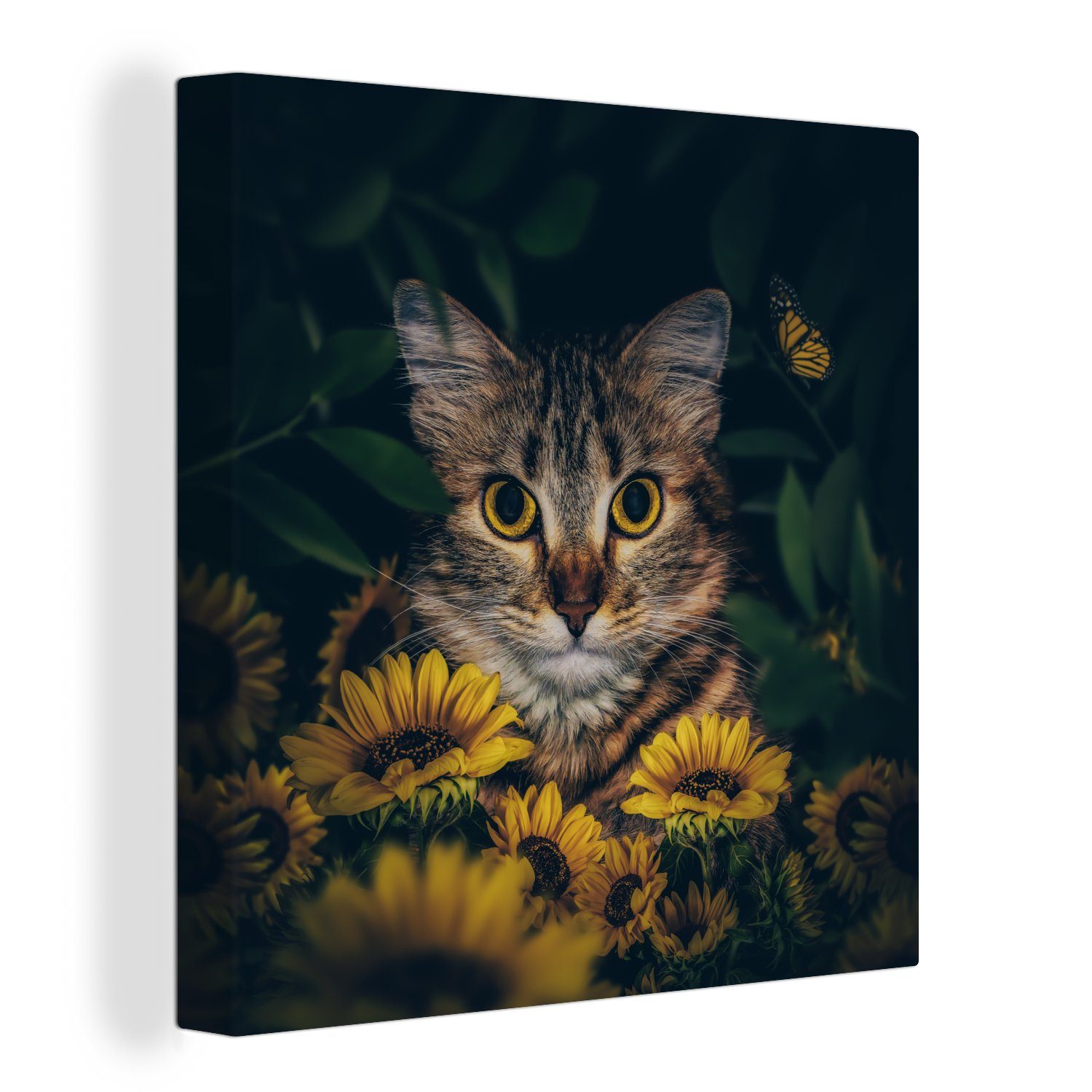 OneMillionCanvasses® Leinwandbild Katze - Gelb - günstig online kaufen
