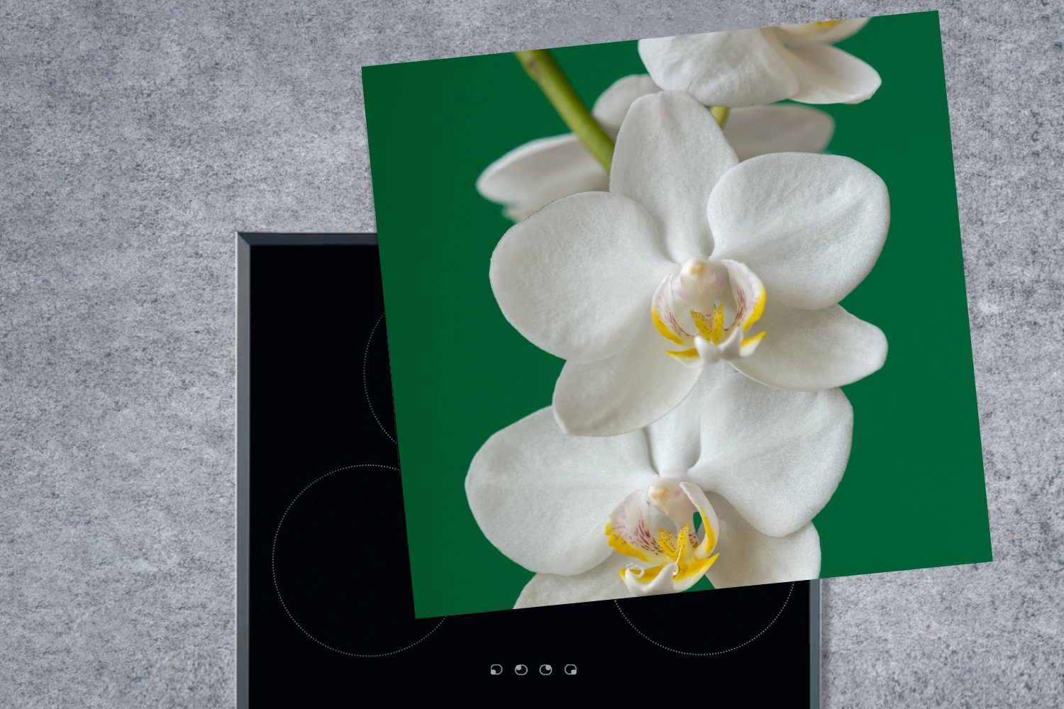 mit Arbeitsplatte küche Hintergrund, (1 Ceranfeldabdeckung, Vinyl, 78x78 MuchoWow Herdblende-/Abdeckplatte Orchidee grünem cm, tlg), für