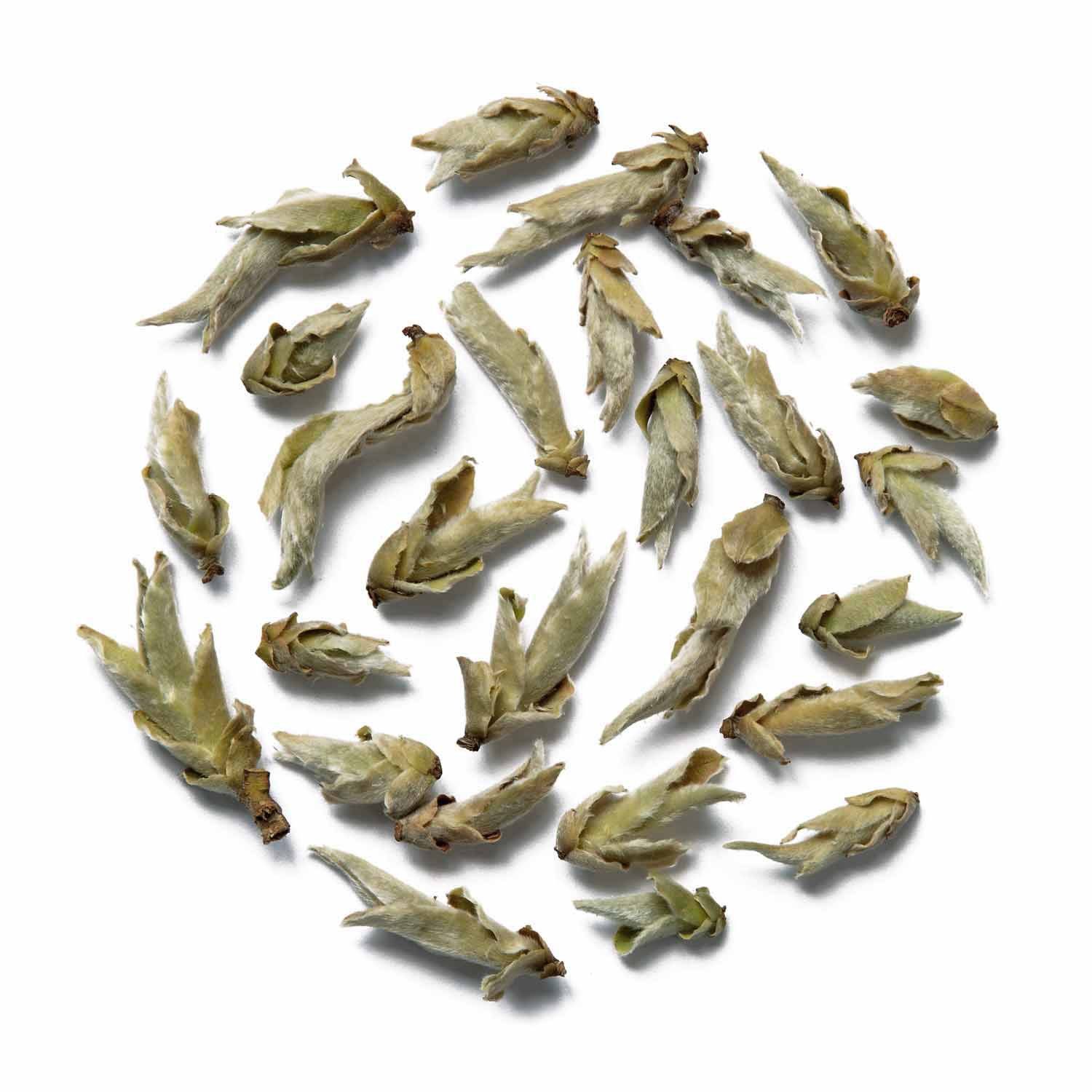 tea exclusive Tee Ya Bao Buds, Weißer Tee, China, 50g, Ursprünglich, klar, vielschichtig. Kiefer, Kräuter, Vanille, Hopfen un