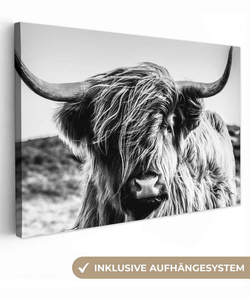 OneMillionCanvasses® Leinwandbild Kuh - Schottischer Hochländer - Schwarz - Weiß - Tier - Natur -, Schottisches Hochlandrind Schwarz Weiß (1 St), Wandbild Картини на полотні, Aufhängefertig, Wanddeko, 30x20 cm