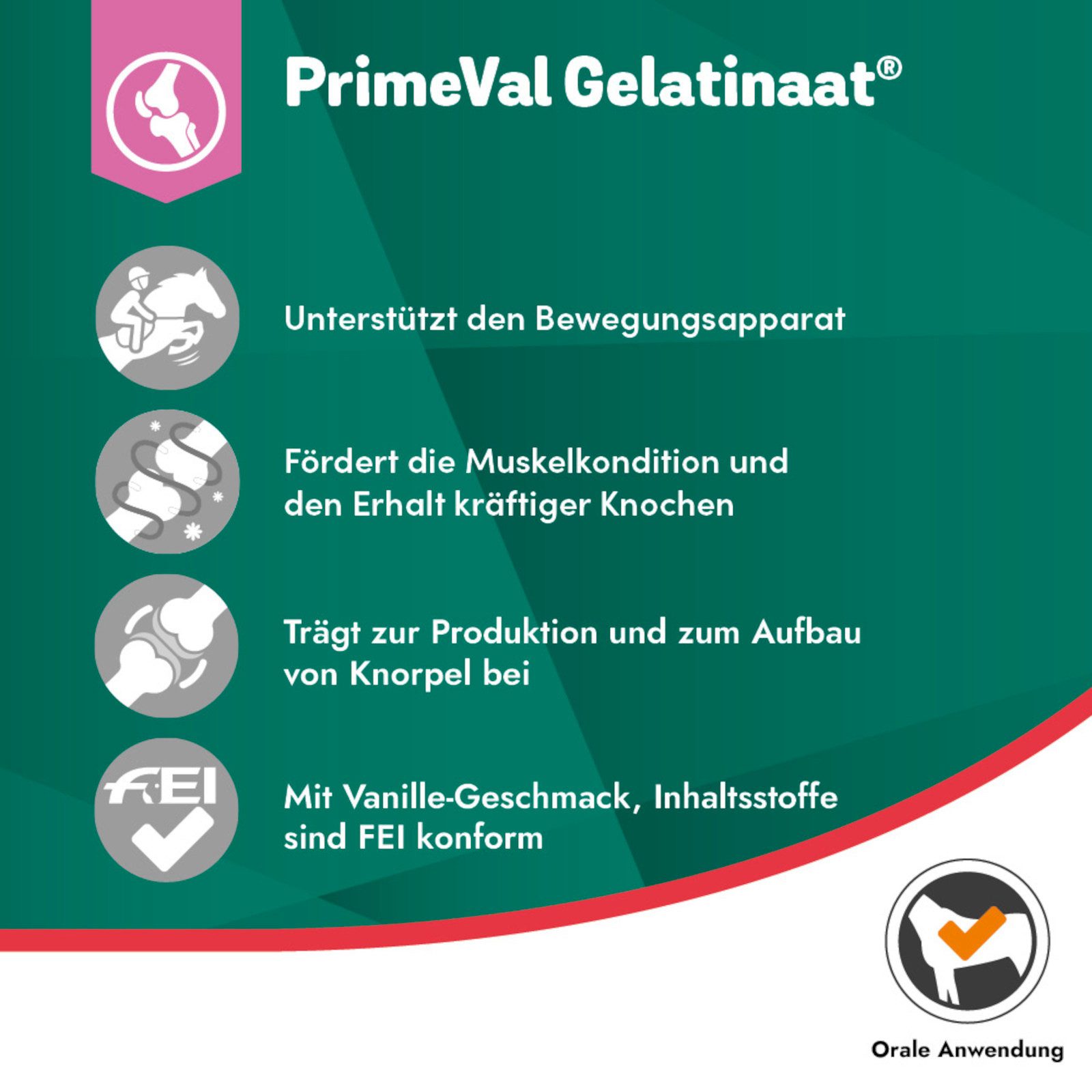 PrimeVal Gelatinaat für Pferde, fördert die Muskelkondition und den Erhalt k..., Ergänzungsfutter für: Pferde