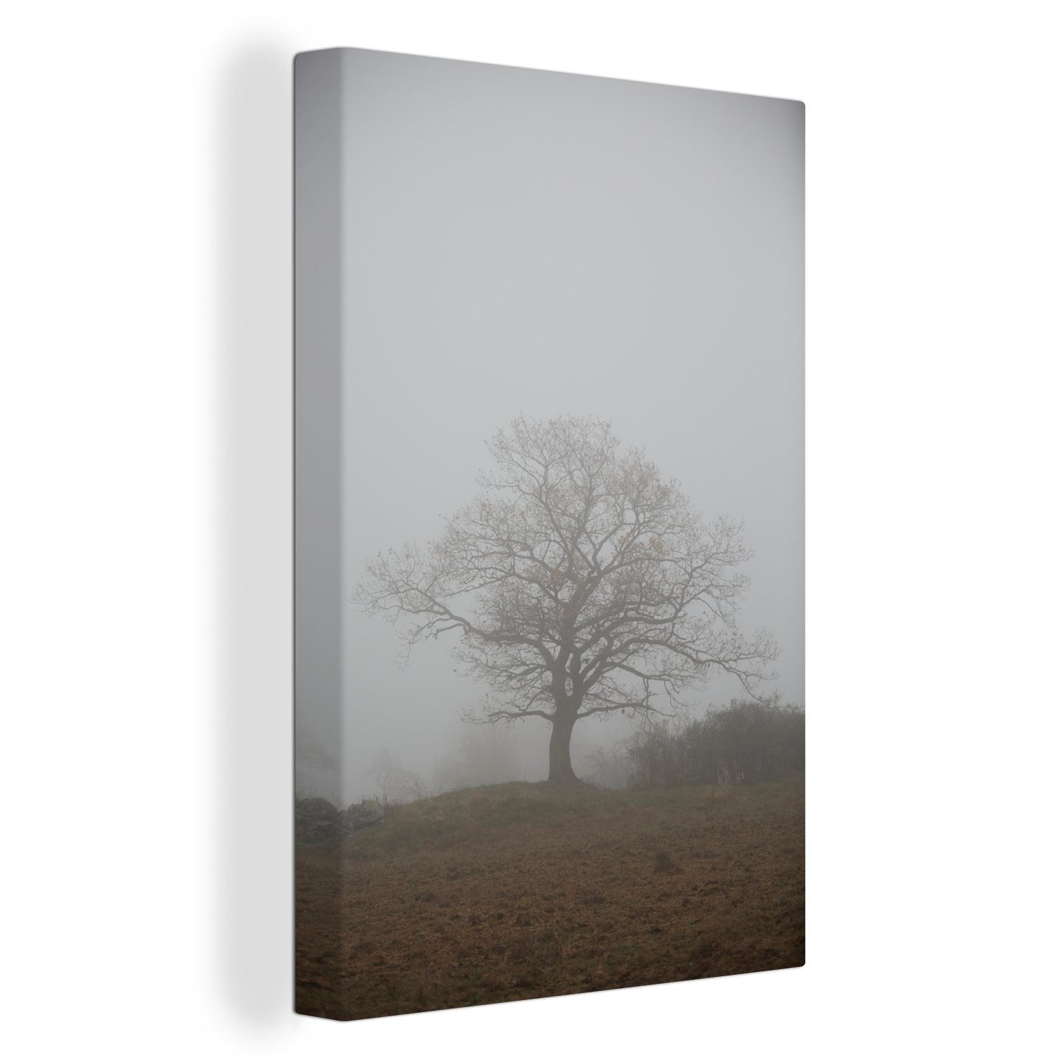OneMillionCanvasses® Leinwandbild Silhouette eines Baumes im Nebel, (1 St), Leinwandbild fertig bespannt inkl. Zackenaufhänger, Gemälde, 20x30 cm