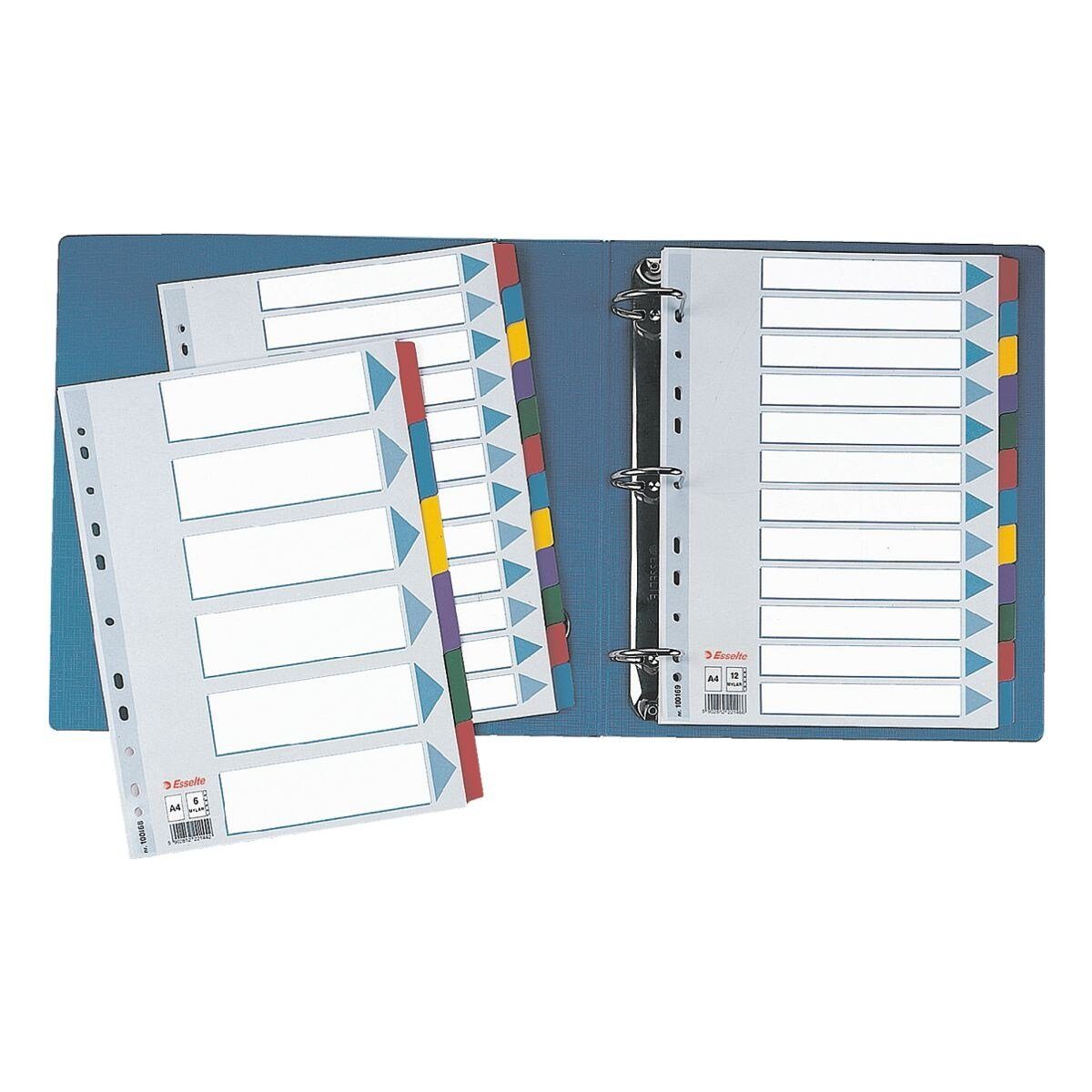 ESSELTE Aktenordner, Register blanko, DIN A4, 6-tlg. Karton