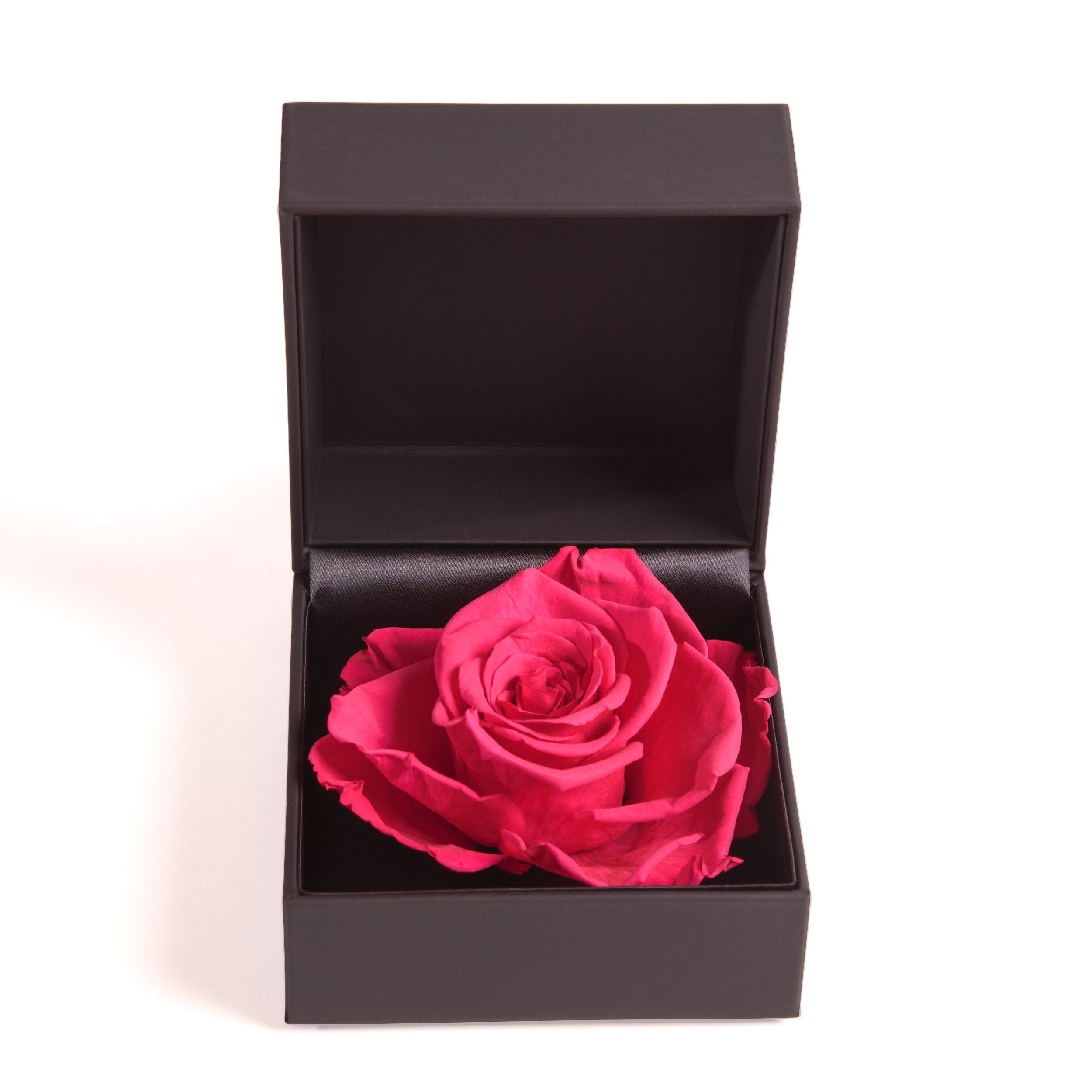 SCHULZ Box Pink 9 Heidelberg, Rose Langlebige cm, Kunstblume in konserviert Rose, Ringbox ROSEMARIE Ringdose Rosenbox Infinity Rose Groß Höhe