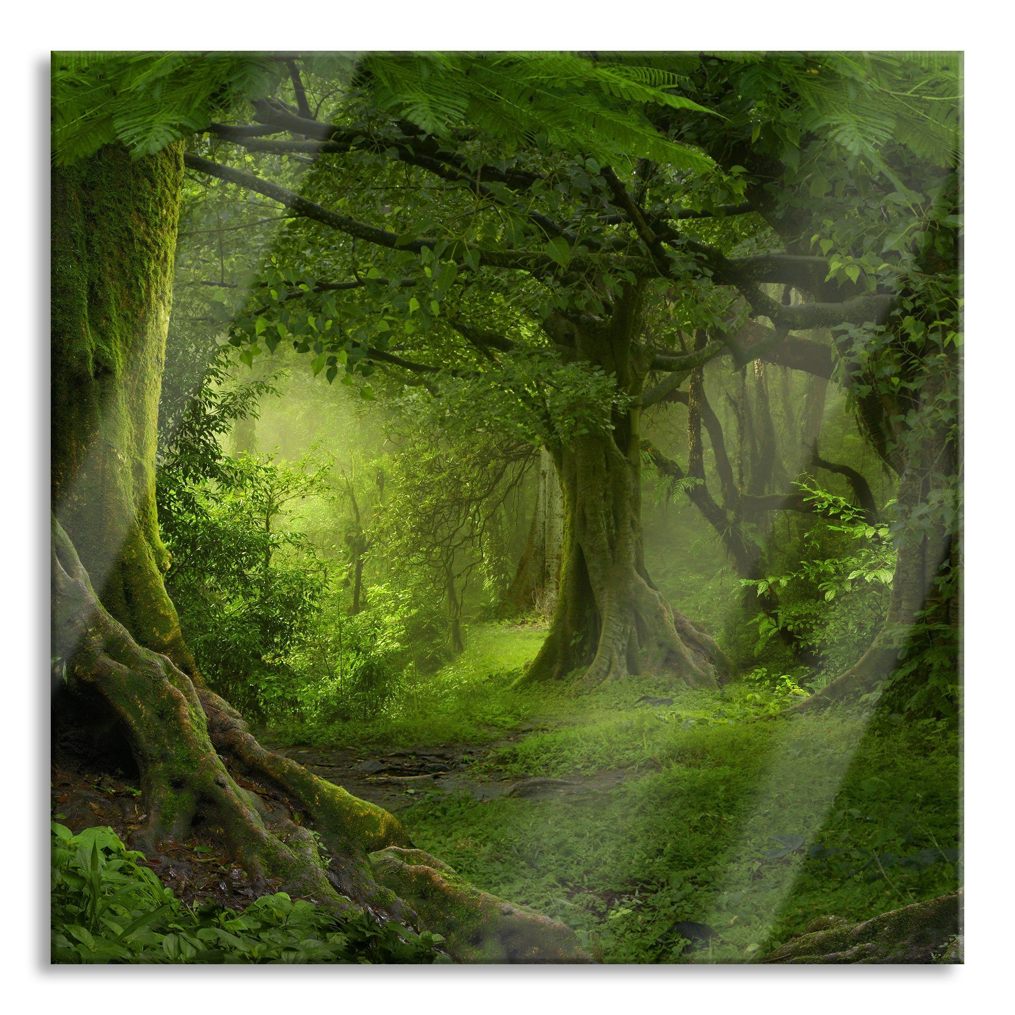 Regenwald, St), (1 Aufhängungen Dschungel im inkl. Pixxprint im Abstandshalter aus Dschungel Regenwald und Echtglas, Glasbild Glasbild