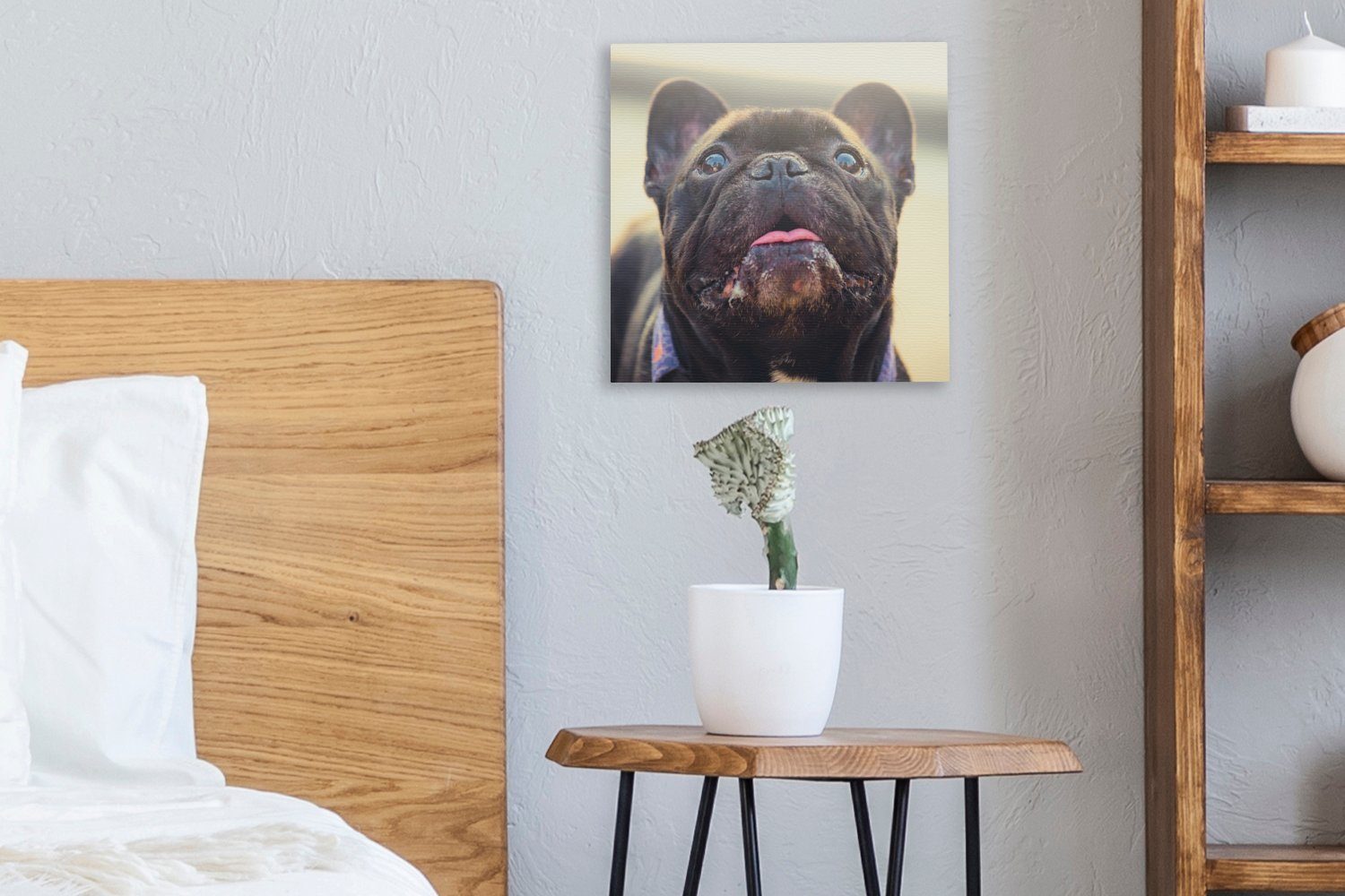 OneMillionCanvasses® Bulldogge Wohnzimmer - Schwarz Französische Sonne, Schlafzimmer Leinwandbild (1 für - St), Leinwand Bilder