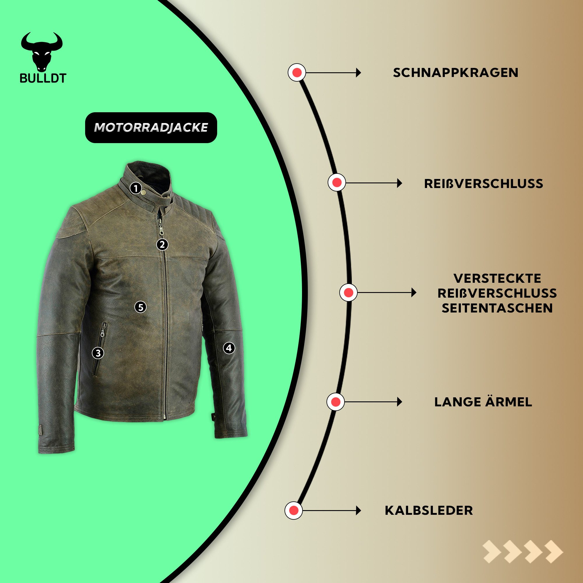 BULLDT Motorradjacke GW425J Cracker Bikerjacke Lederjacke Cracker Kalbsleder