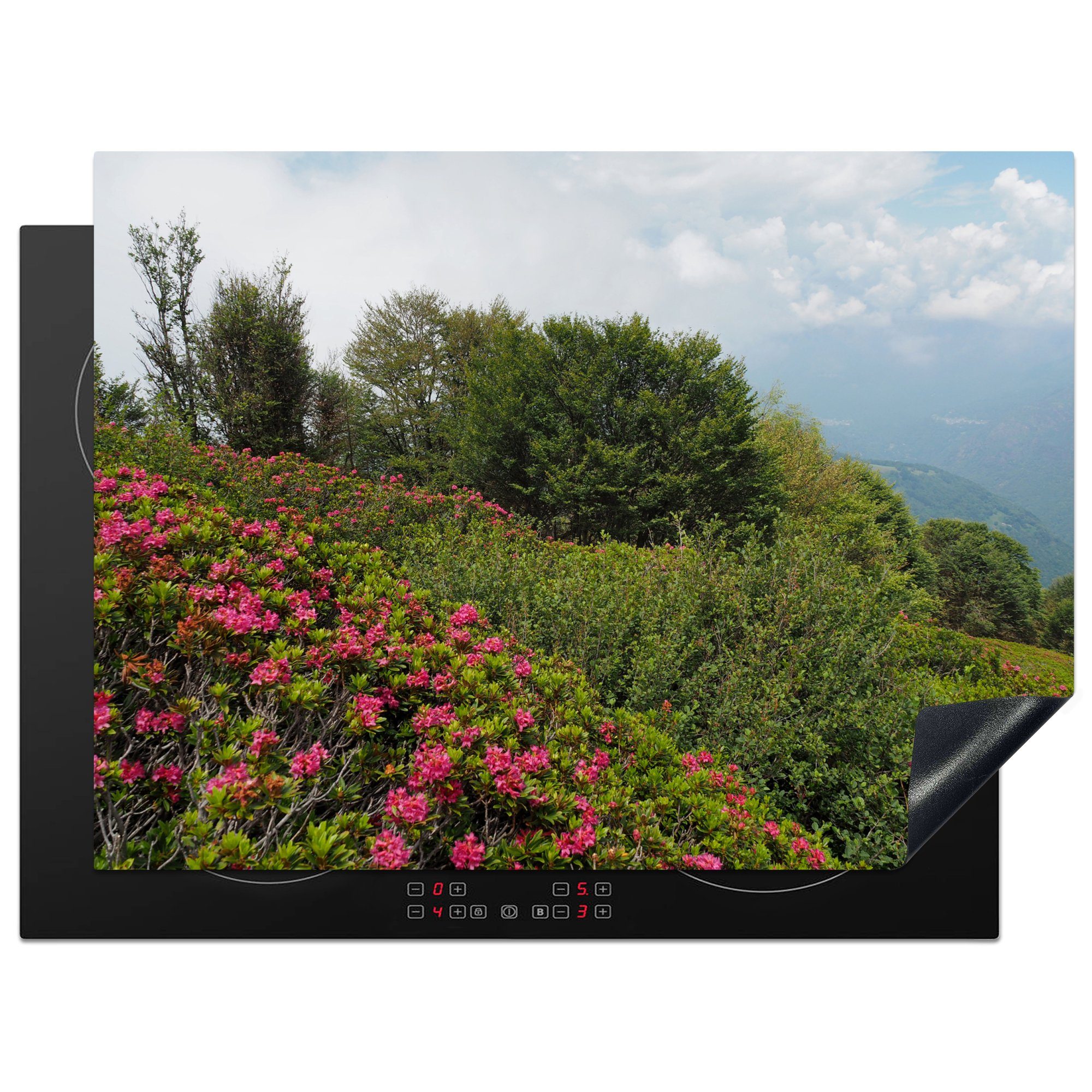 MuchoWow Herdblende-/Abdeckplatte Wildblumen auf dem Berg Spalavera im Nationalpark Val Grande, Vinyl, (1 tlg), 71x52 cm, Induktionskochfeld Schutz für die küche, Ceranfeldabdeckung