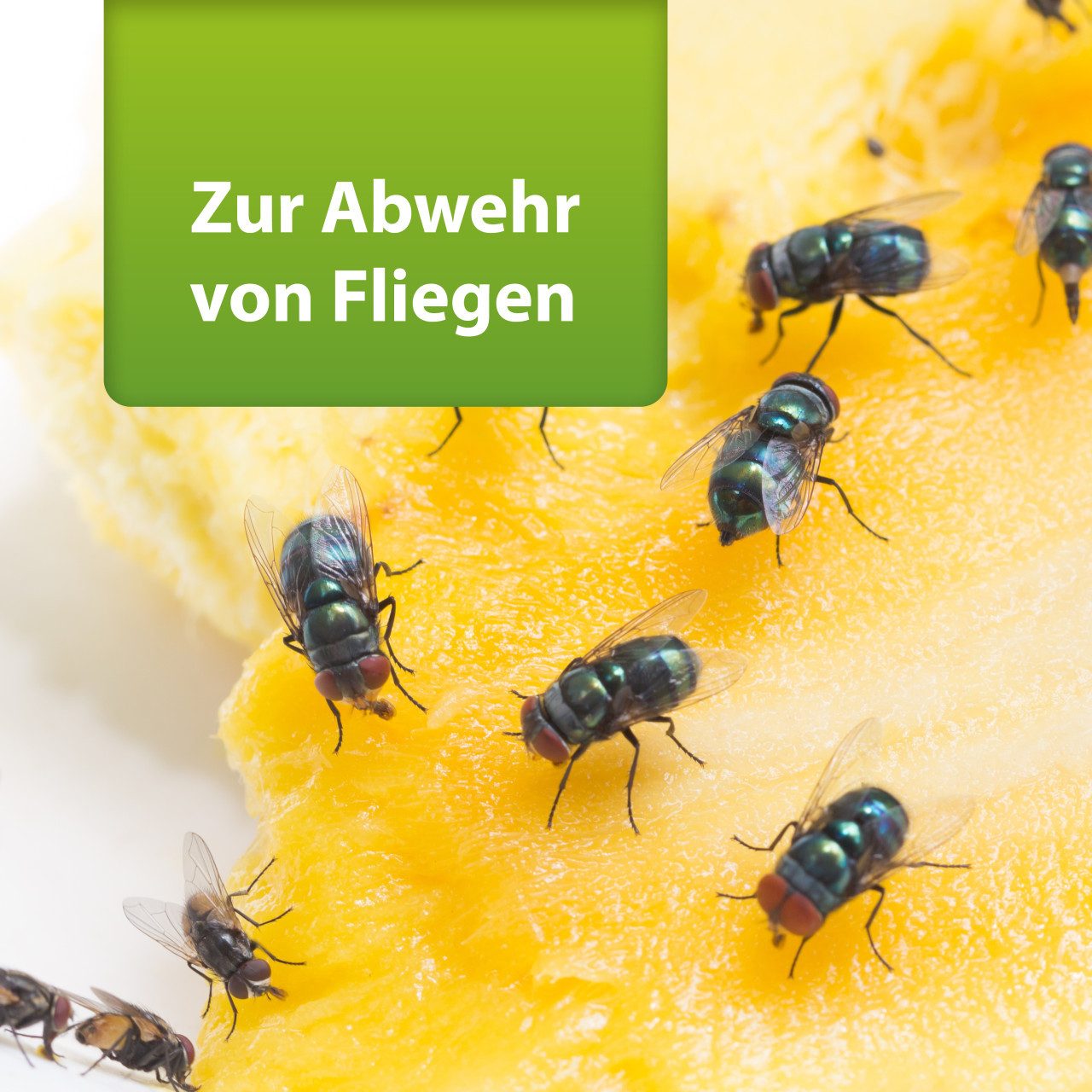 Ardap Insektenspray ARDAP Repell Fliegenspray 400 ml – Bild 3 von 5