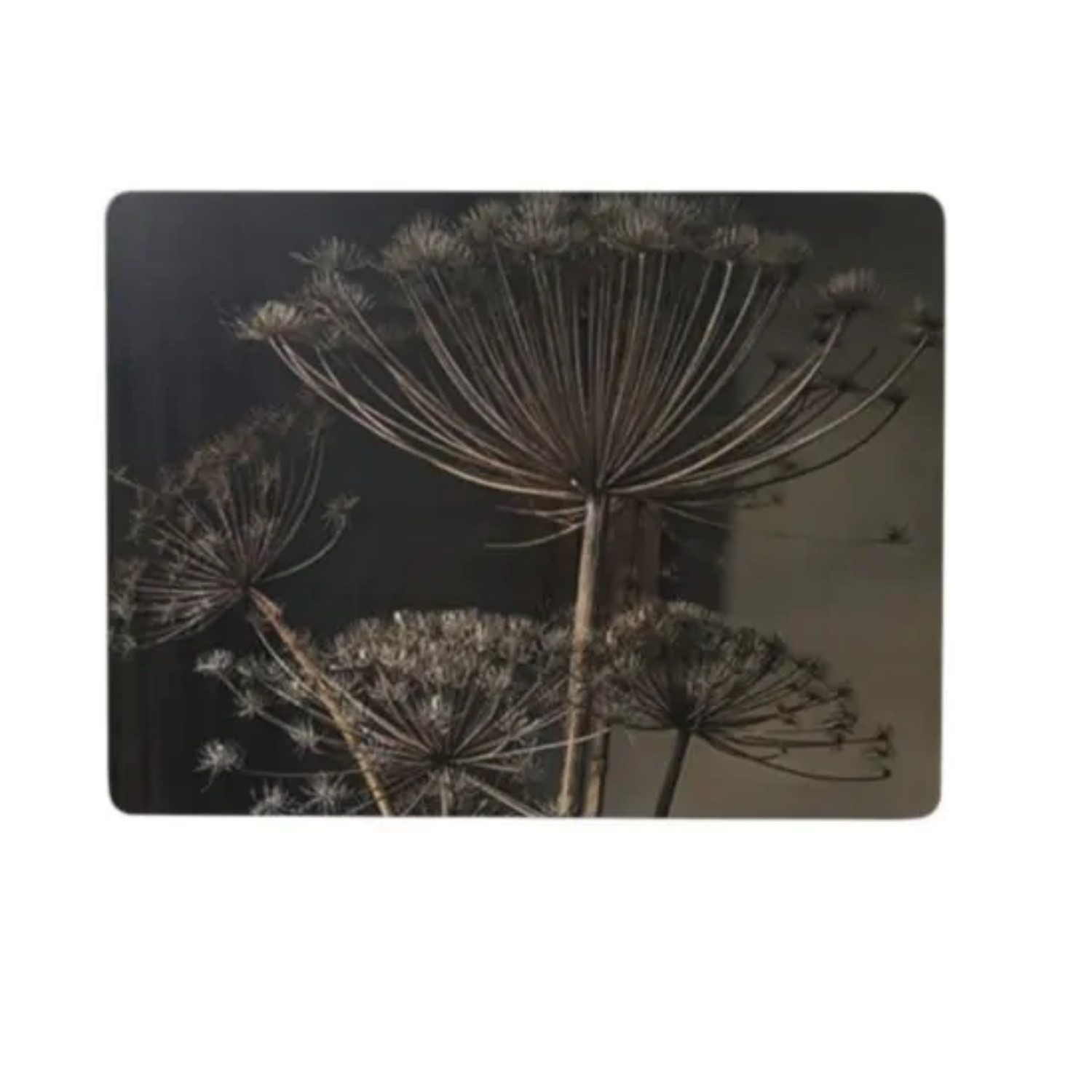 Hakbijl Glass Platzset, Höhe: cm, Farbe: Grau, Motiv: Pusteblume günstig online kaufen