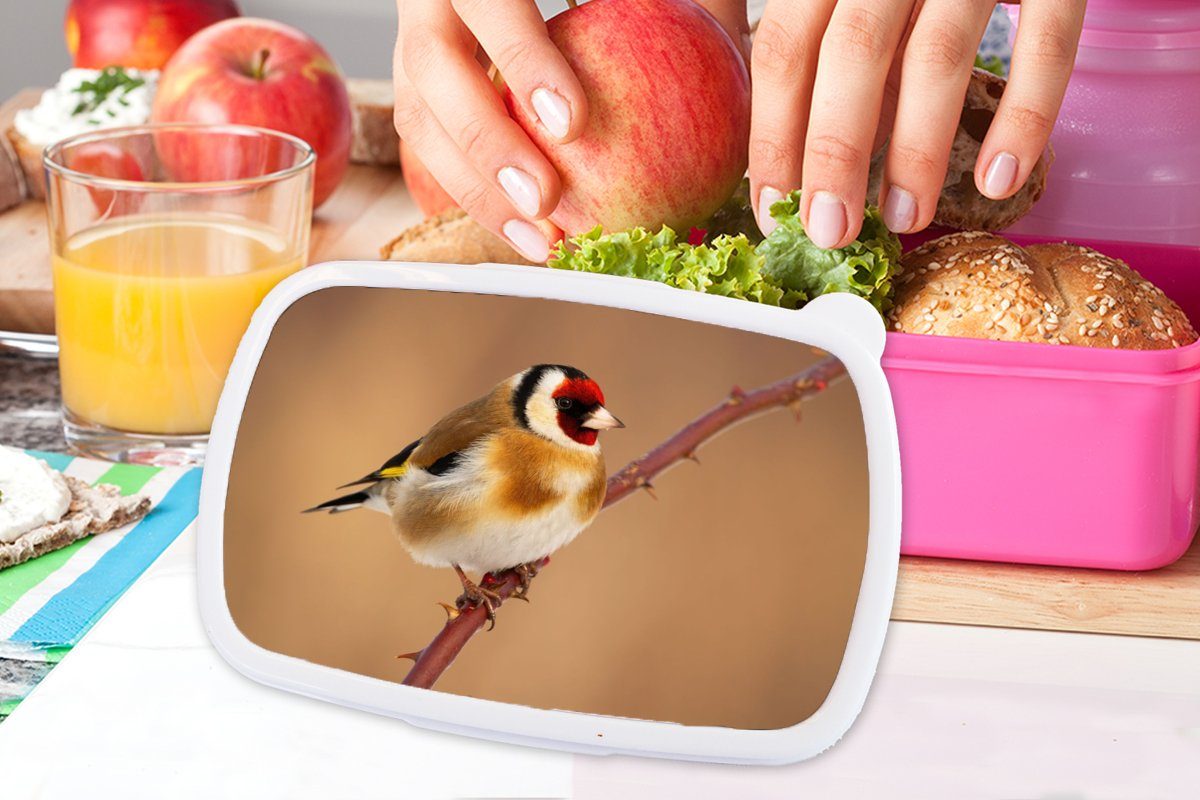 Tiere, (2-tlg), Mädchen, - Erwachsene, Lunchbox MuchoWow Brotdose für Kunststoff Kinder, Kunststoff, Kropftaube Snackbox, rosa - Vogel Brotbox