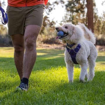 Ruffwear Hunde-Geschirr Hundegeschirr Front Range® Harness Purple Sage